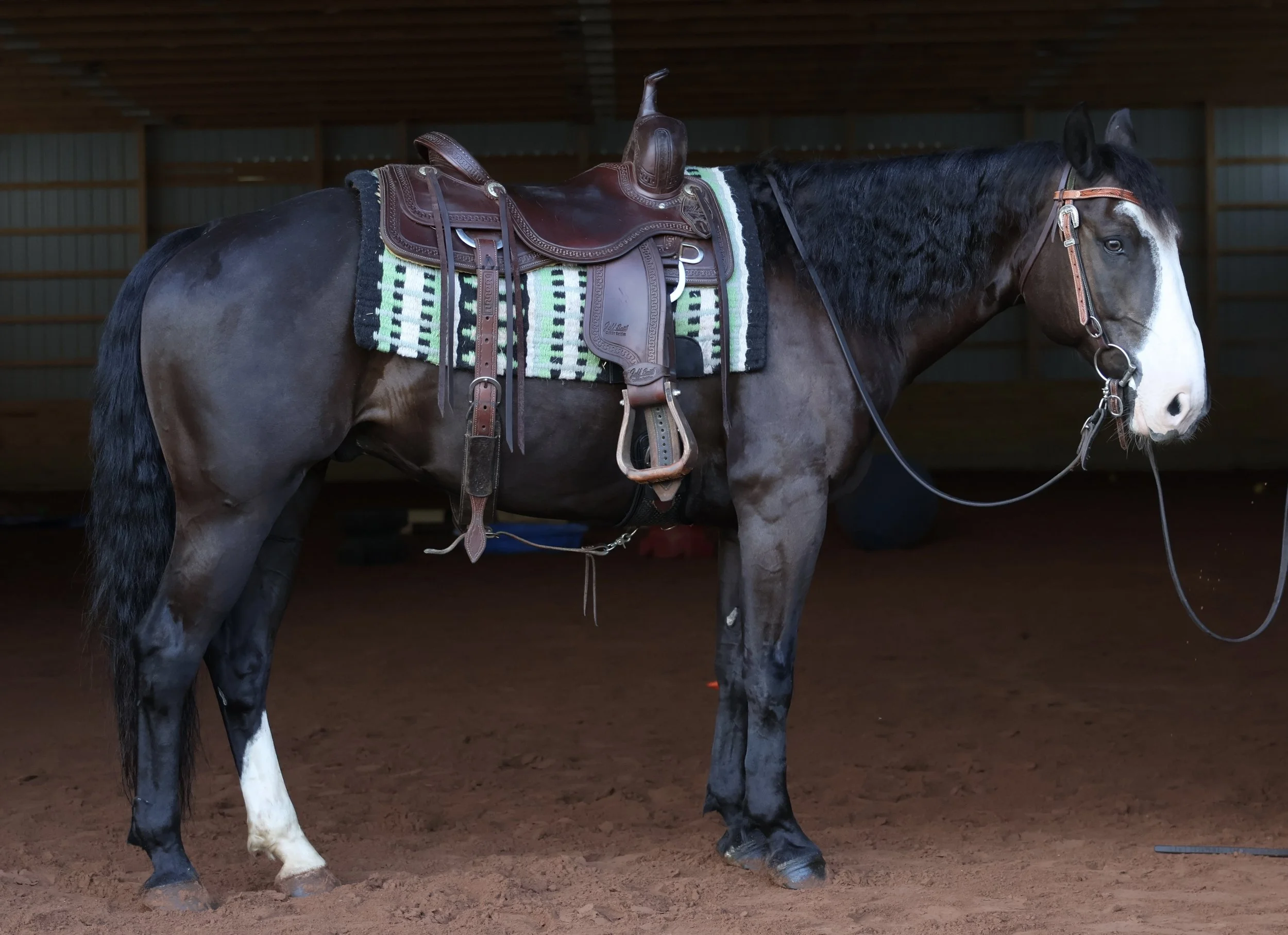 A brown and white horse with a dark mane standing on a dirt floor inside a wooden enclosed riding arena. The horse is saddled with a western saddle and a saddle pad, and is wearing a bridle.