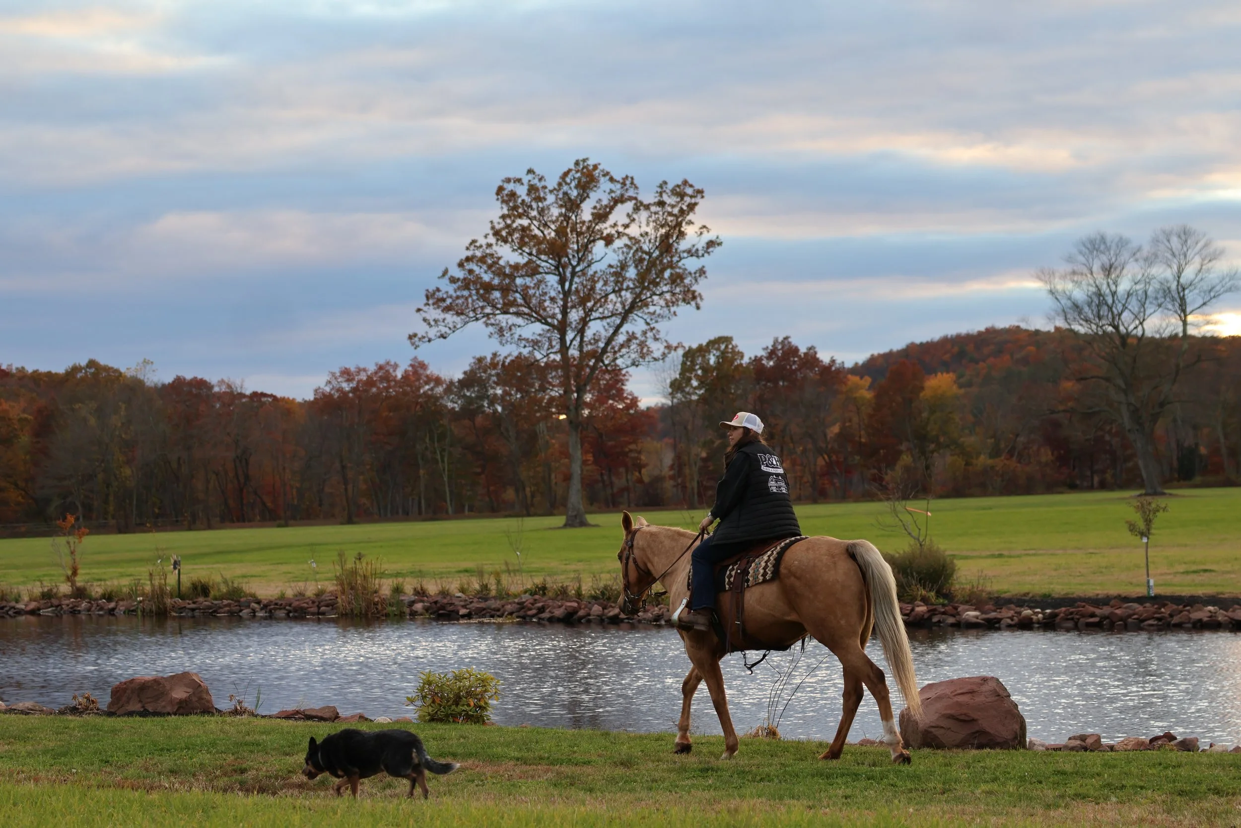 A person riding a horse along a riverbank in a park with autumn trees and cloudy skies.