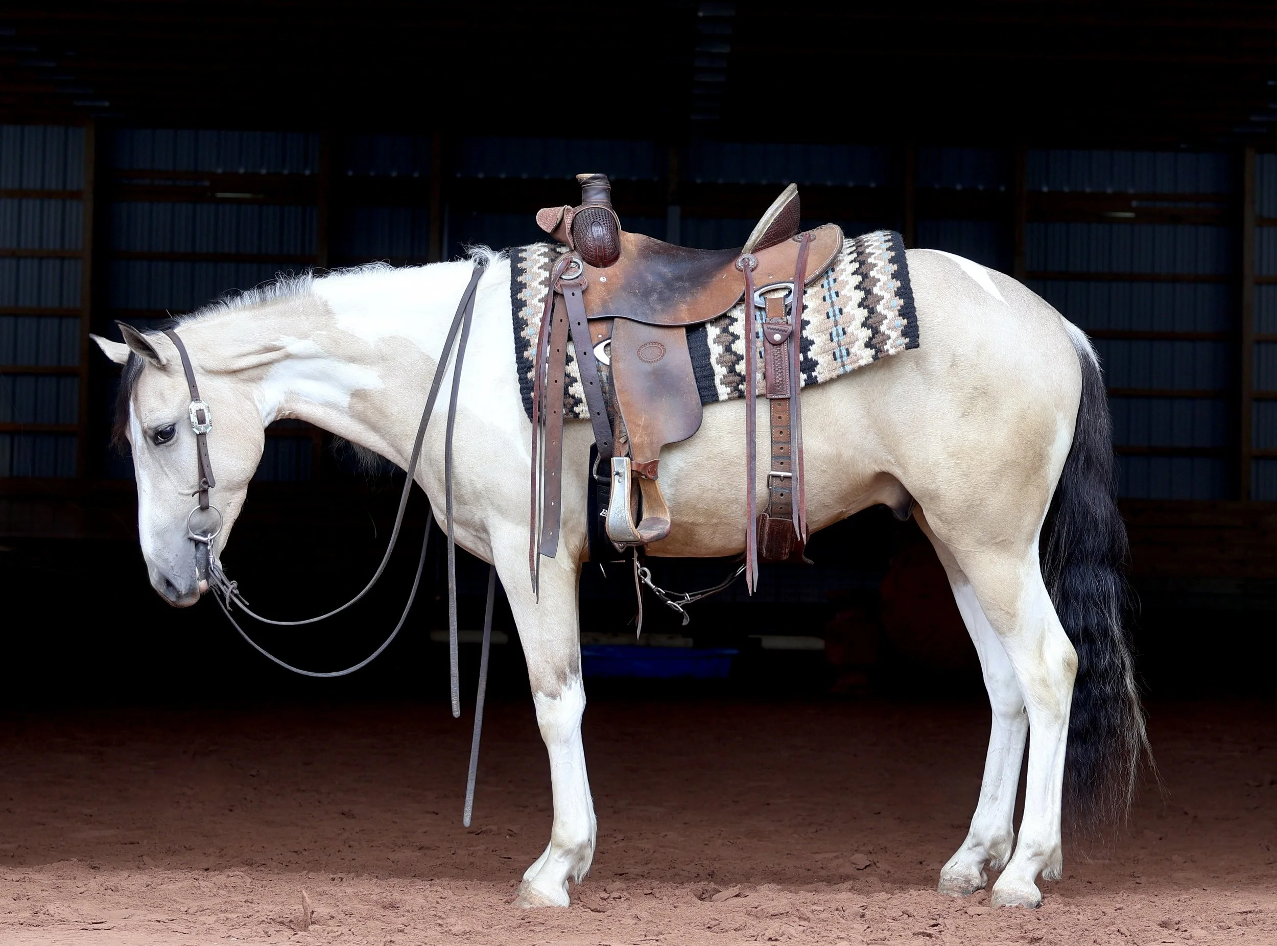 A white horse with a brown saddle and a black and white patterned saddle blanket stands on a dirt floor inside a stable or covered riding arena. The background shows dark metal walls and ceiling.