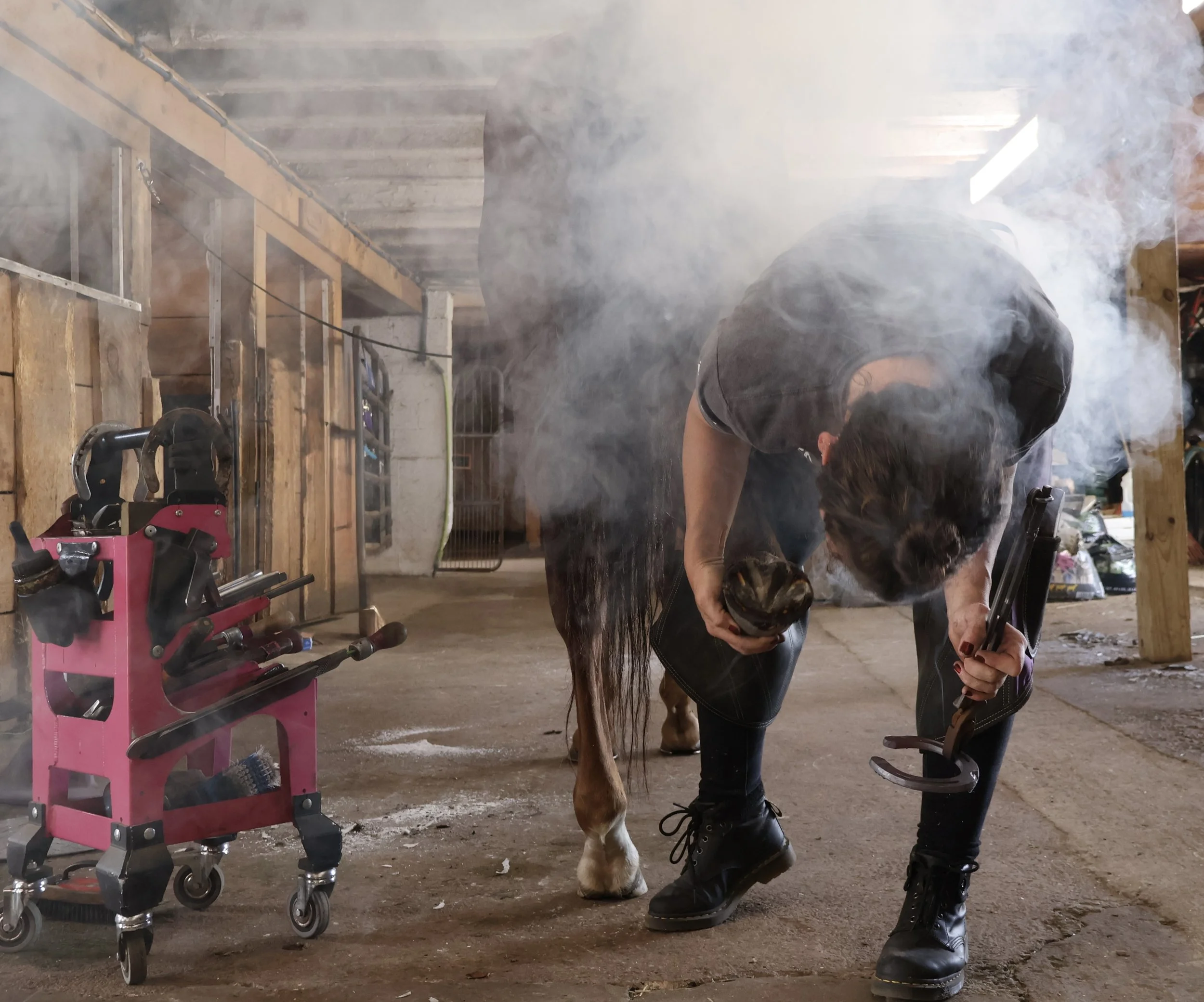 A woman bending over in a barn, holding a horse shoe and a spray bottle, with a pony nearby. The barn has wooden walls, a pink mobility aid, and animal equipment.