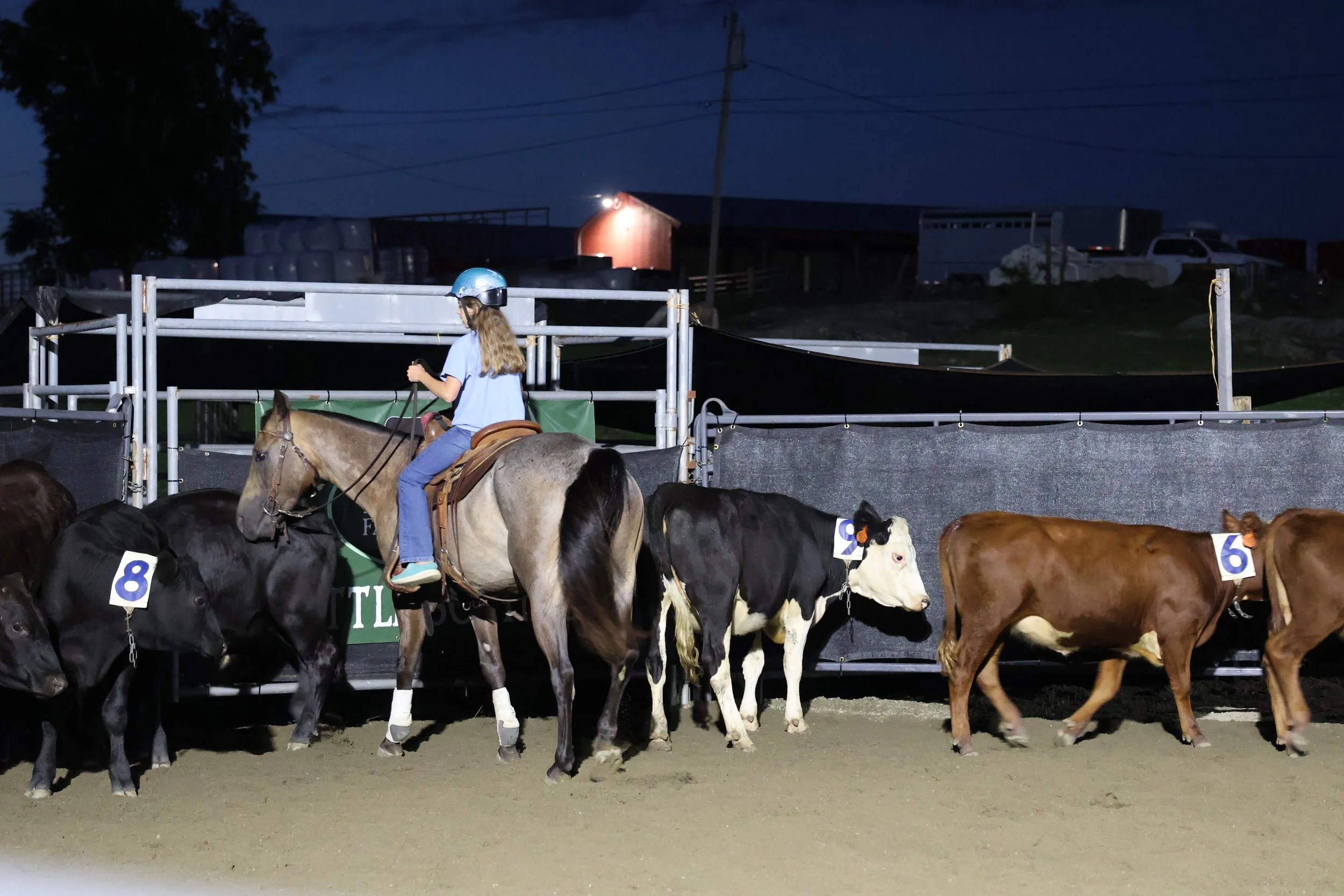 A girl riding a horse at a nighttime cattle auction or farm event, with cows in the foreground and farm buildings and power lines in the background.