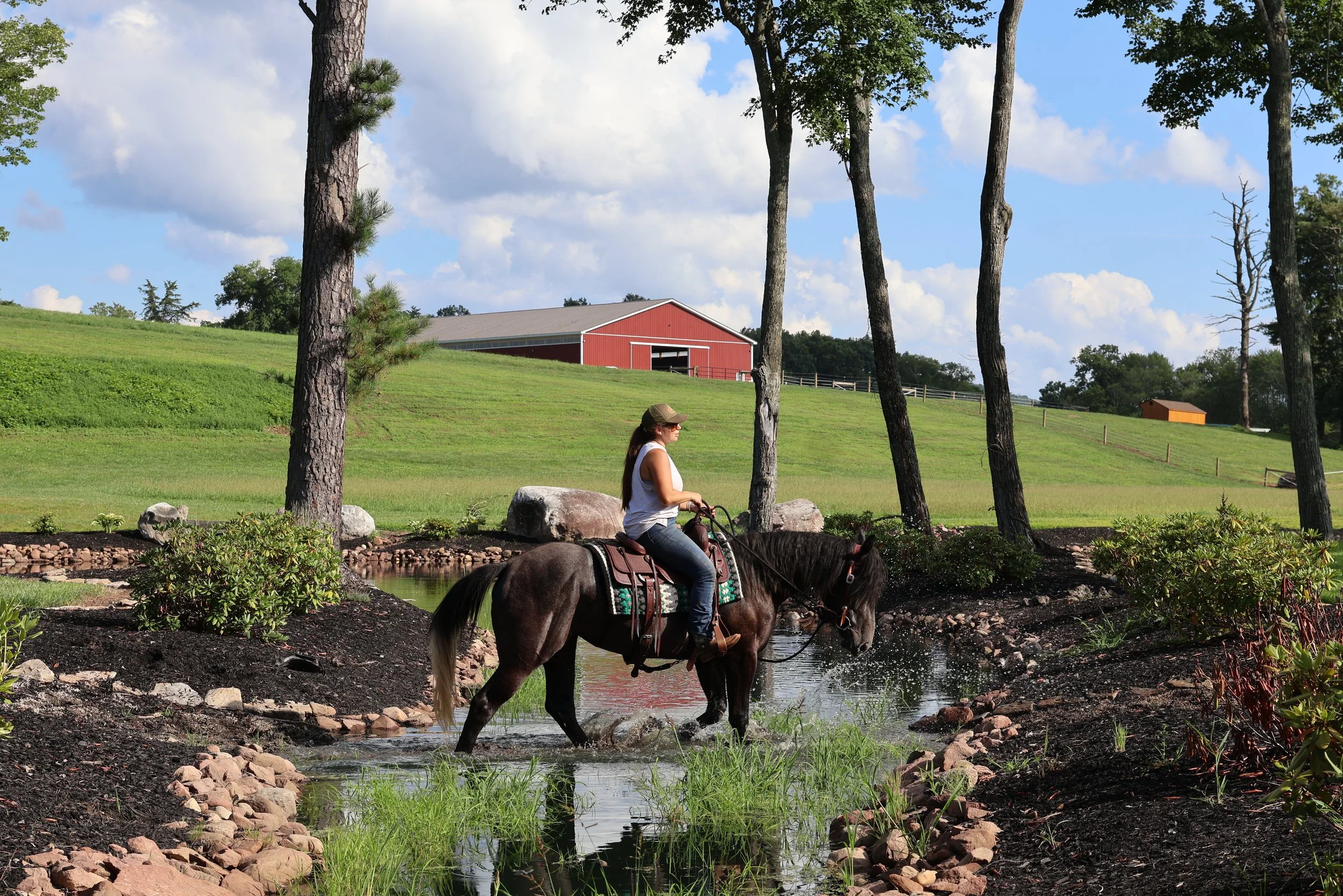 A woman wearing a hat and sunglasses rides a brown horse through a small pond or creek in a rural setting. In the background, there is a red barn, several trees, grassy fields, and a blue sky with fluffy clouds.