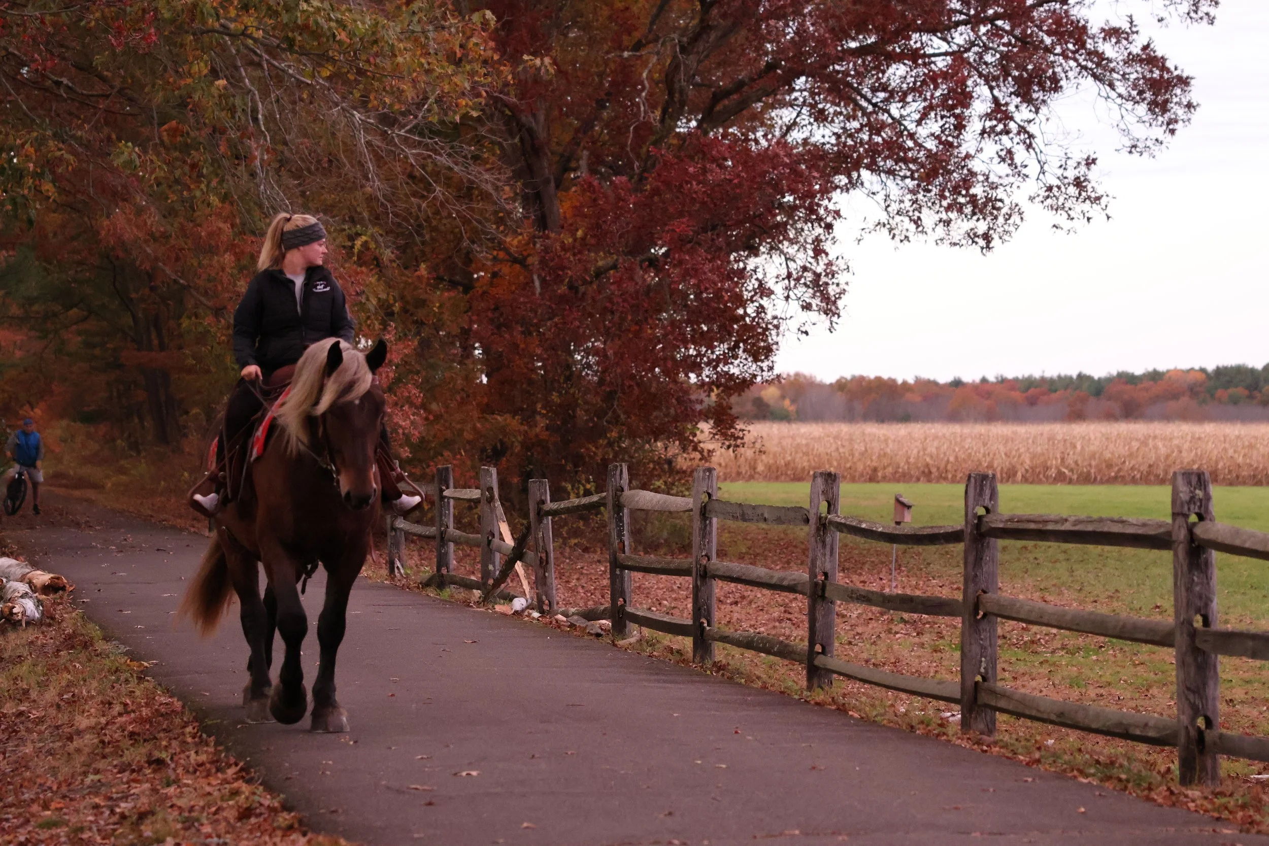 A woman riding a horse on a paved path during fall, with trees with red and orange leaves on the left and an open field on the right.