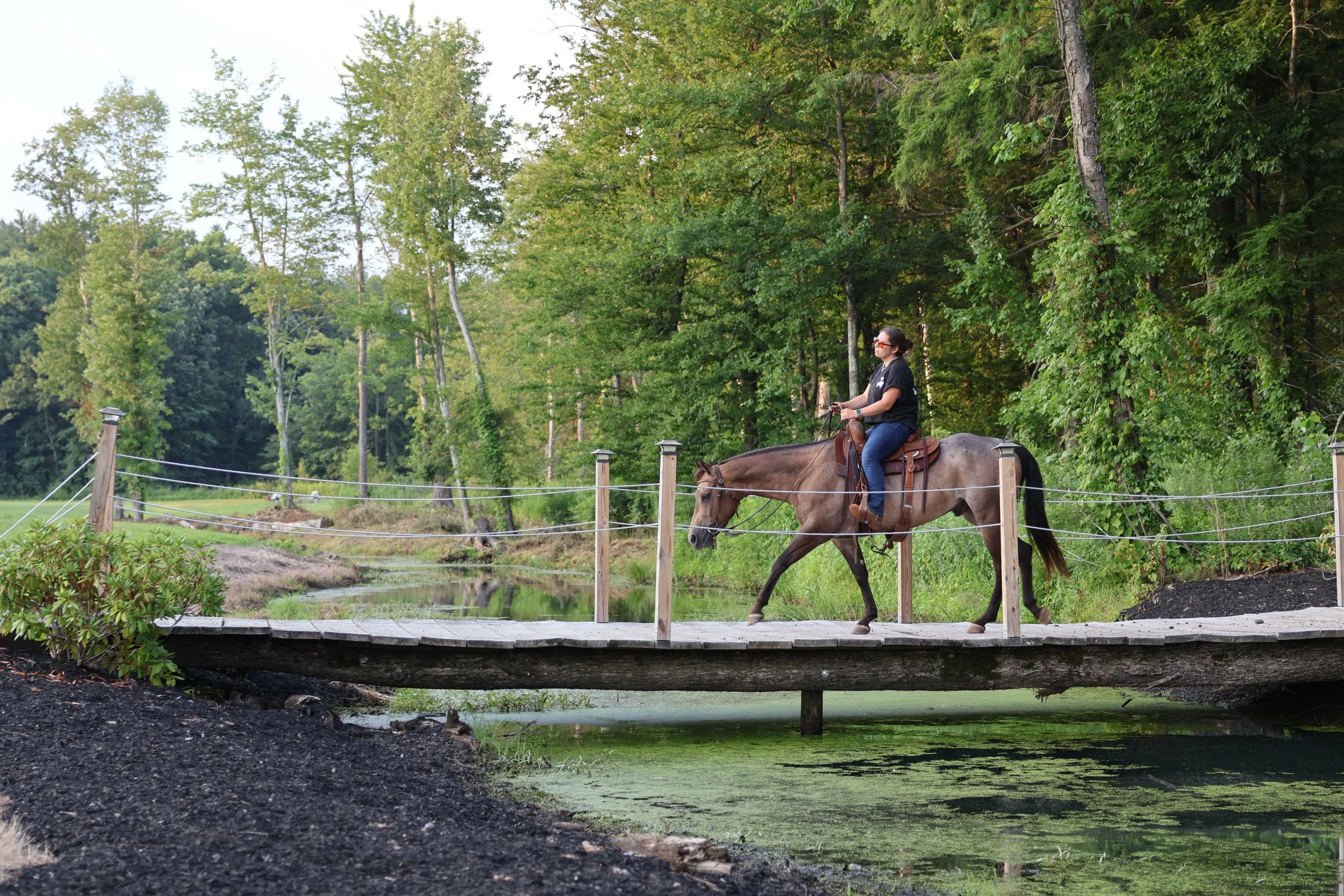 A woman wearing sunglasses and a black shirt riding a light brown horse along a wooded area with tall green trees and a fence, near a small pond or marsh.