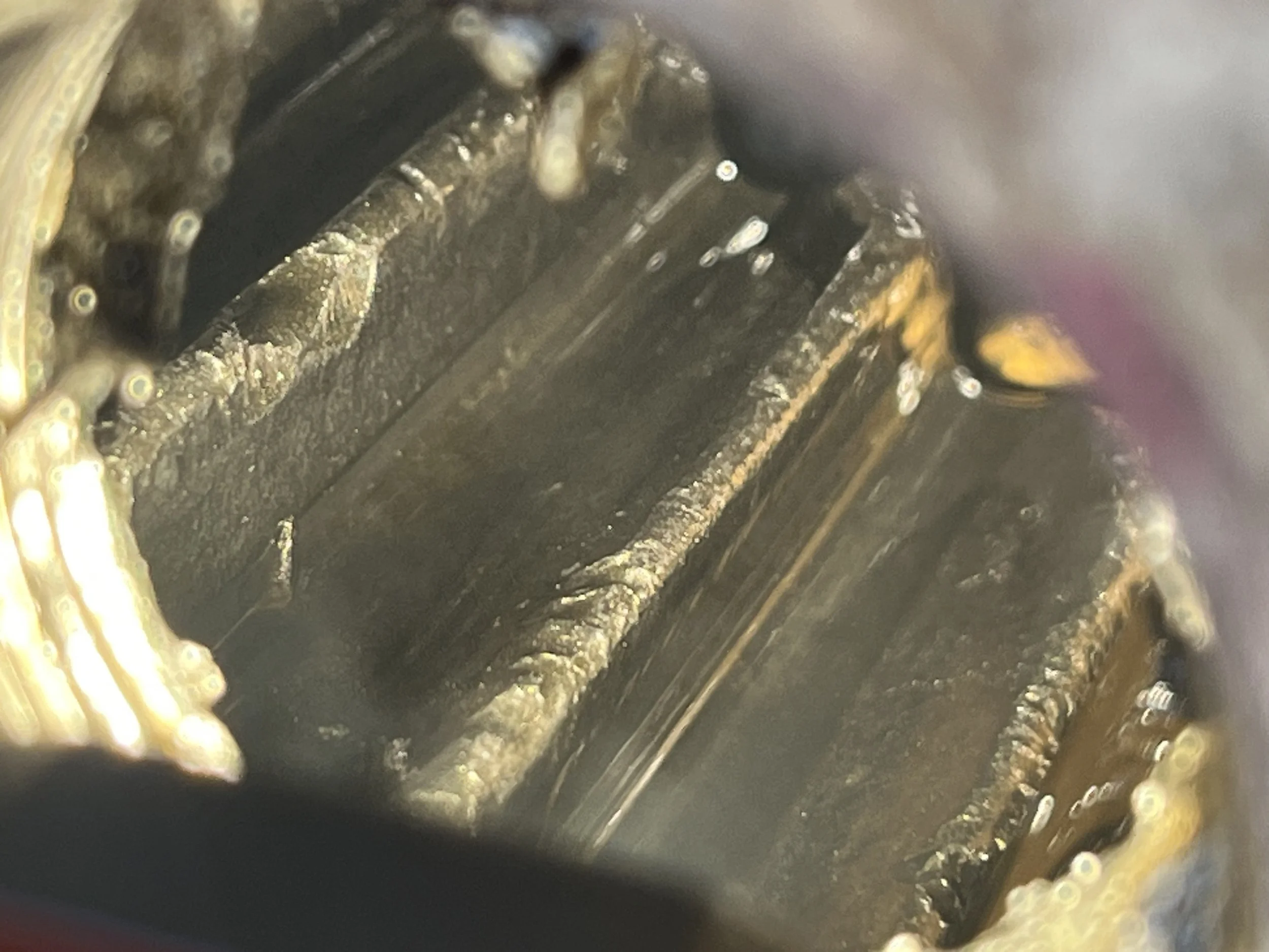 damaged final drive gear set. Cat D6N bulldozer