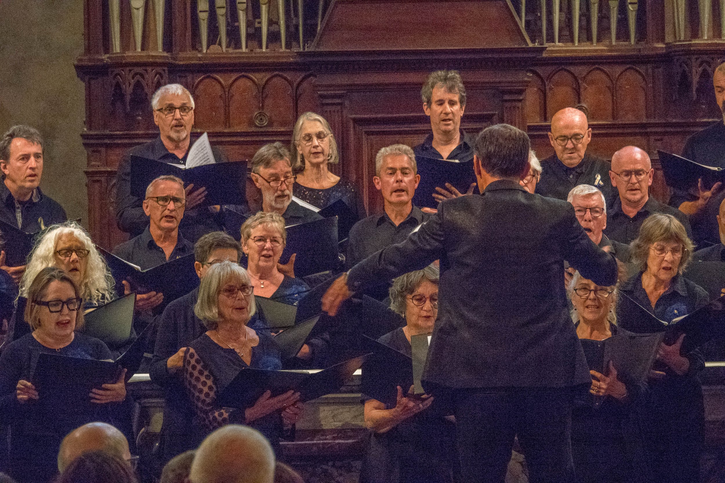 DSC02168.jpg
