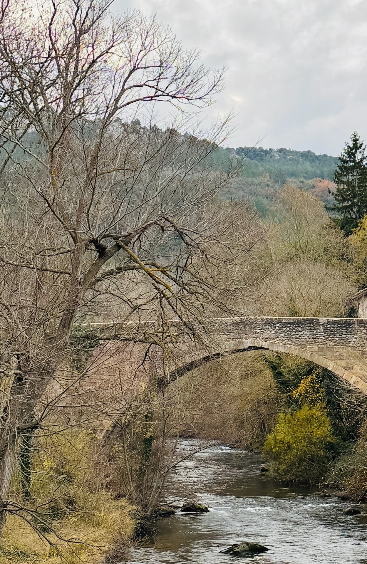 aude river water mineral fountain of youth
