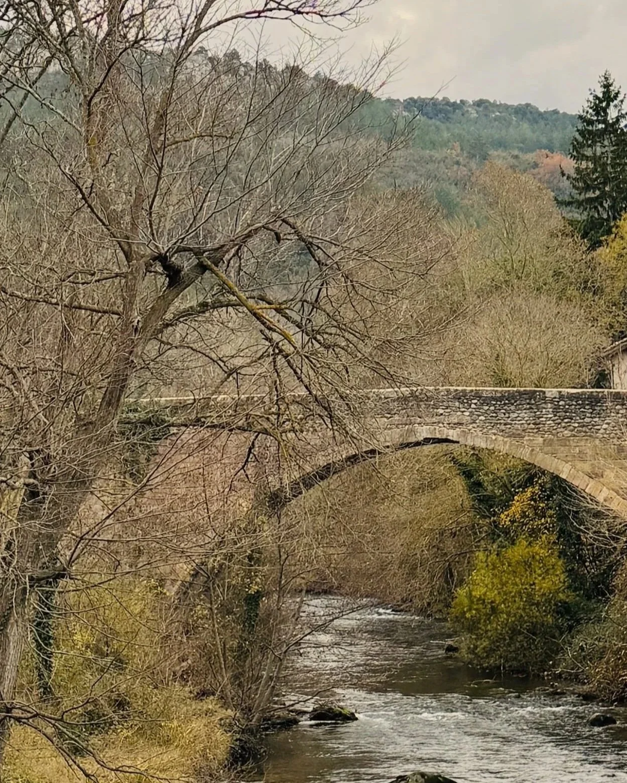 vieux pont old bridge medieval village artistes alétois alet-les-bains France