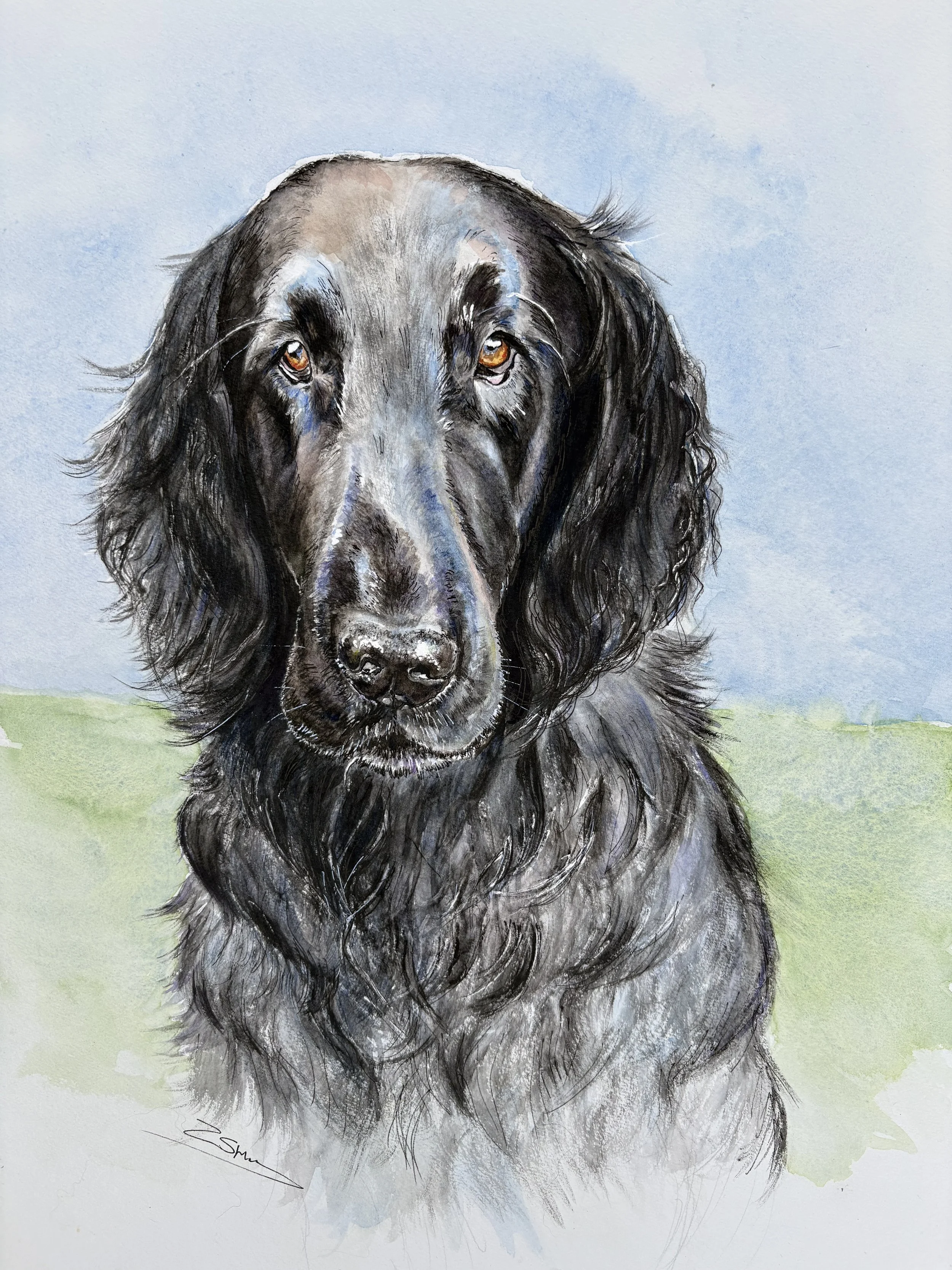 Ambrose Watercolour.jpeg