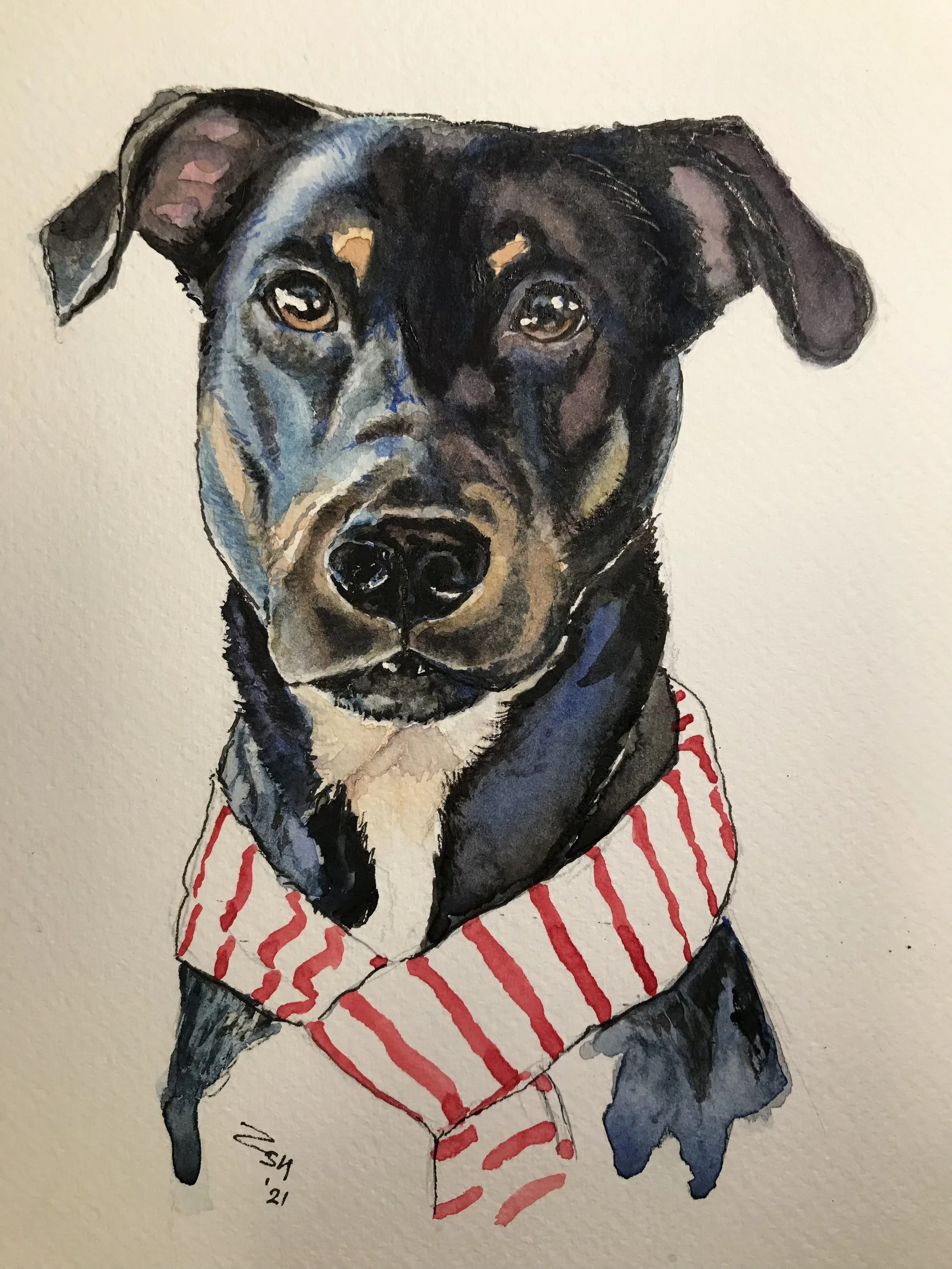 Black Dog with Scarf