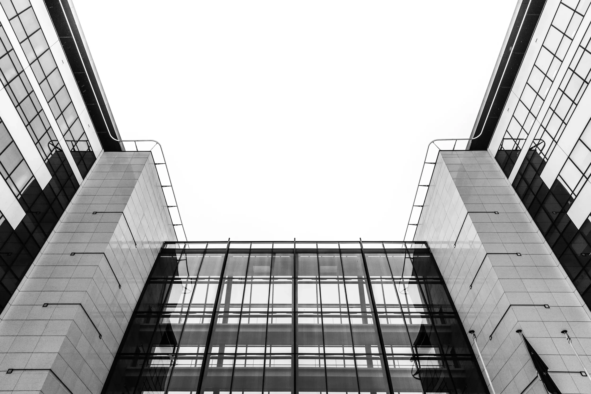 Reflection.webp
