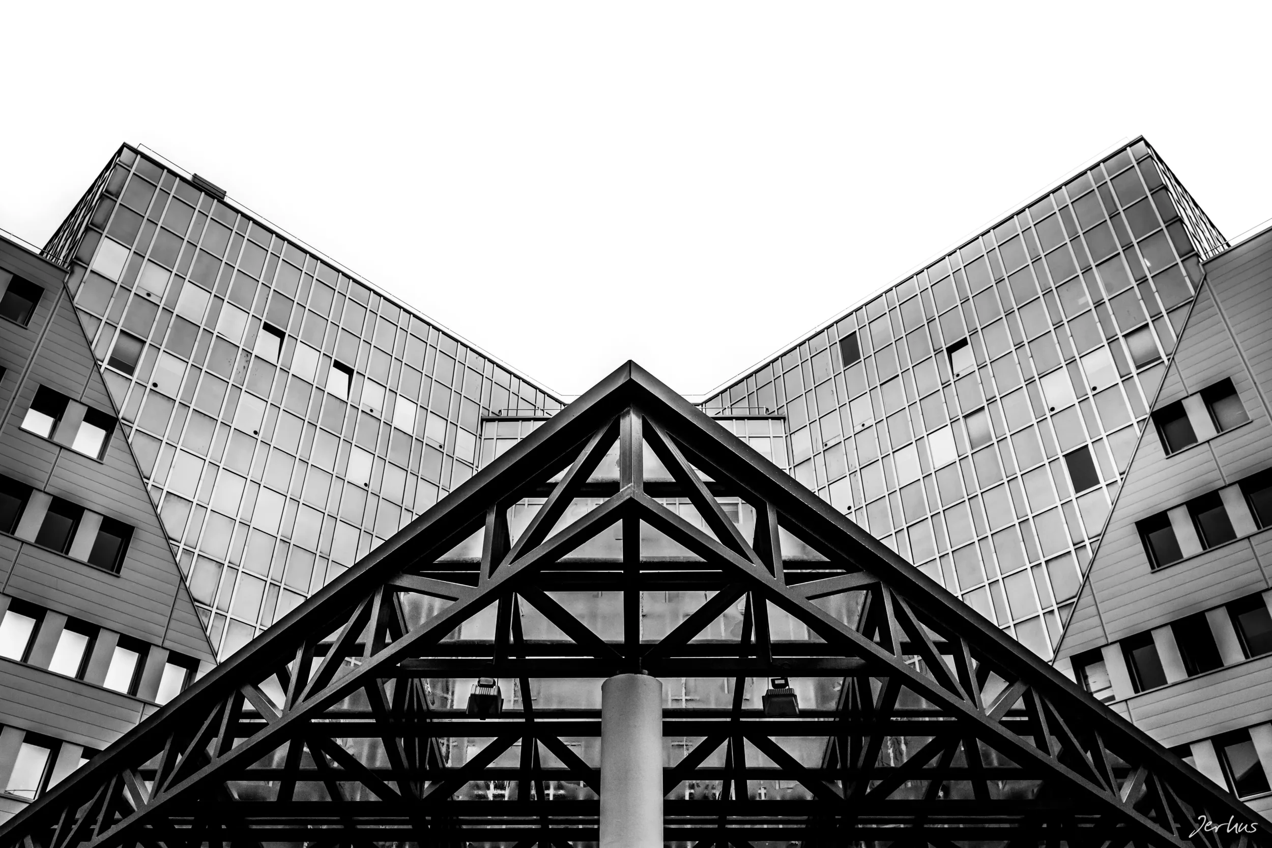Focus.webp