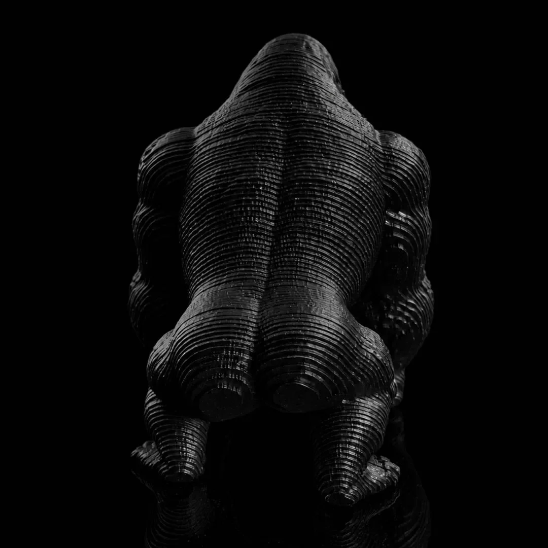 Ebony Guardian 06.webp