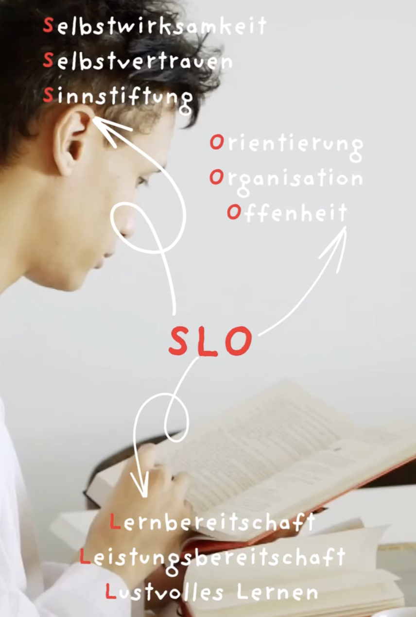 Junge liest ein Buch mit hervorgehobenen Wörtern, die auf Selbstvertrauen, Selbstwirksamkeit, Sinnstiftung, Orientierung, Organisation und Offenheit hinweisen.