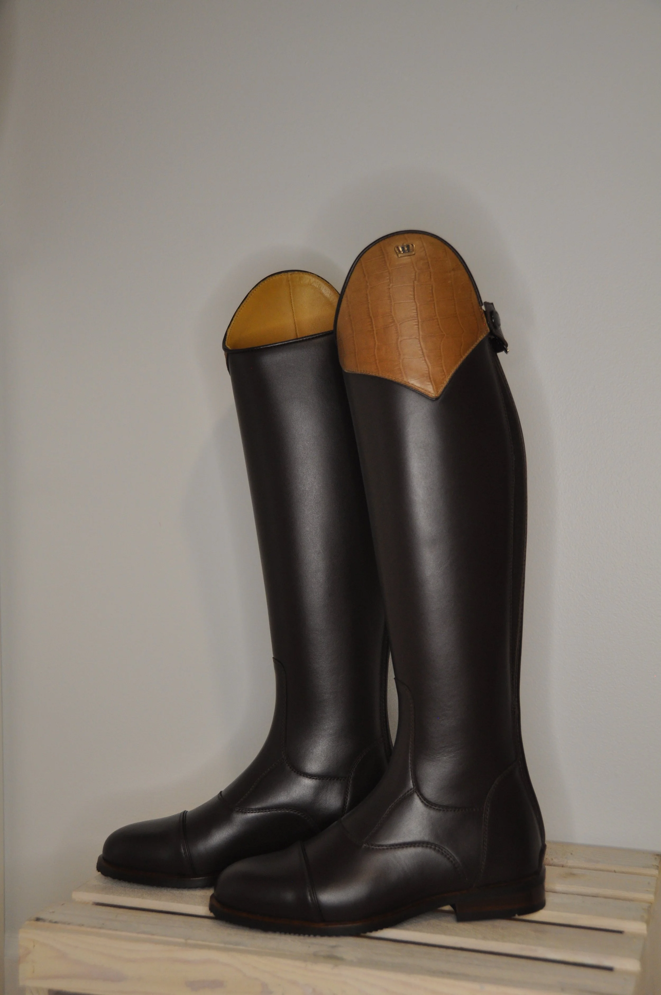 Two Toned Brown Aspen