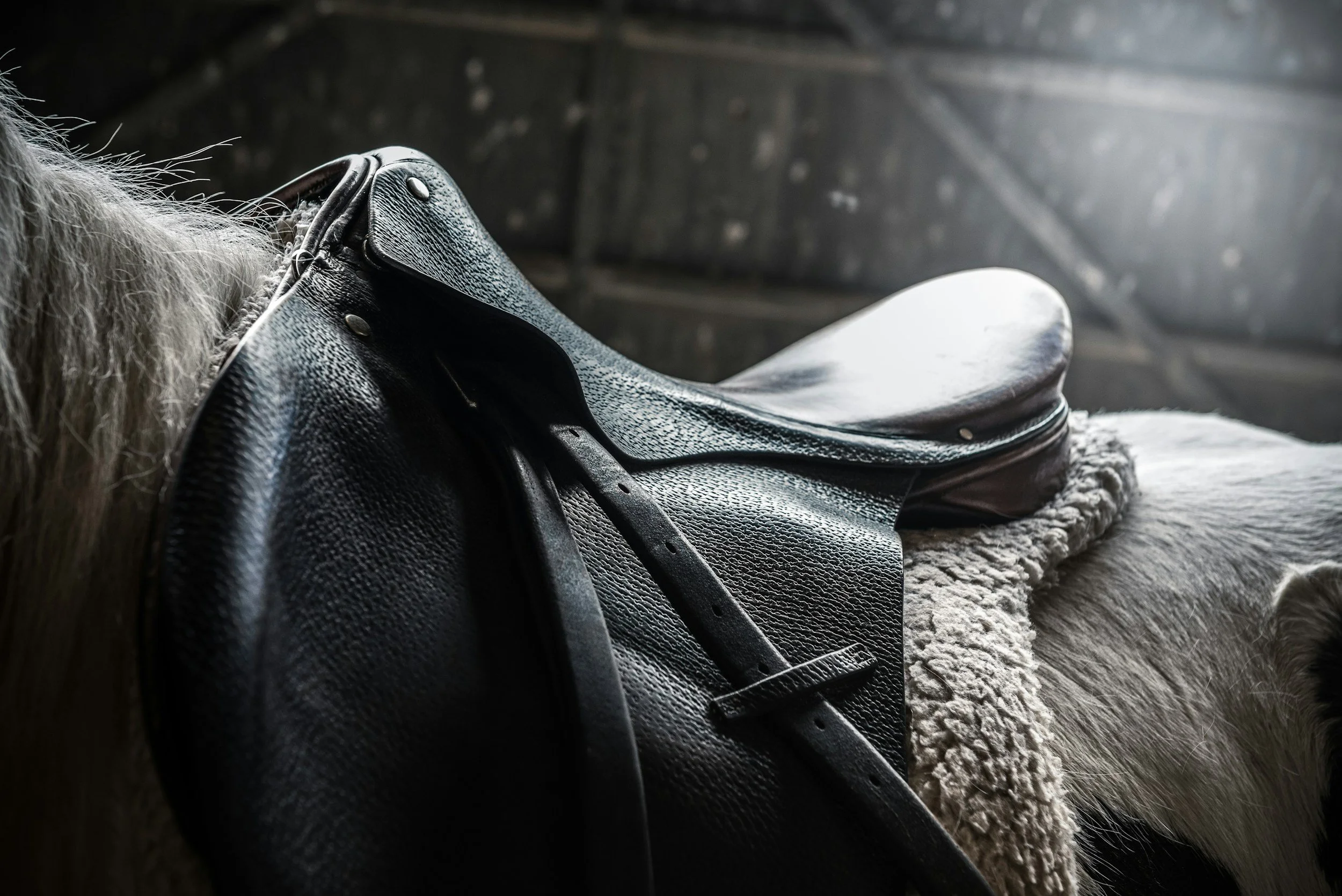 Coutnry sports hen do and parties in cheltenham and the Cotswolds. Riding, polo, clay pigeon shooting