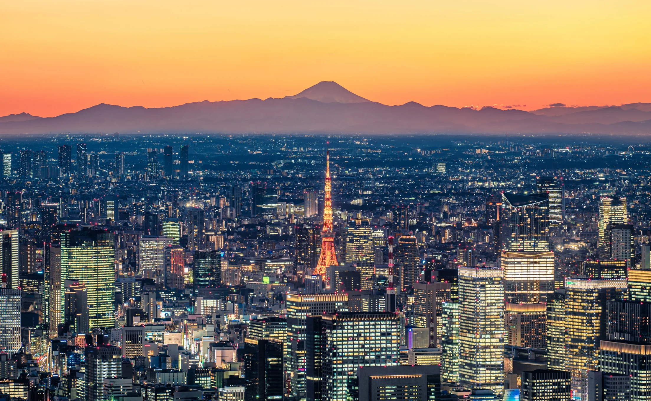 iStock-1221584192.jpg