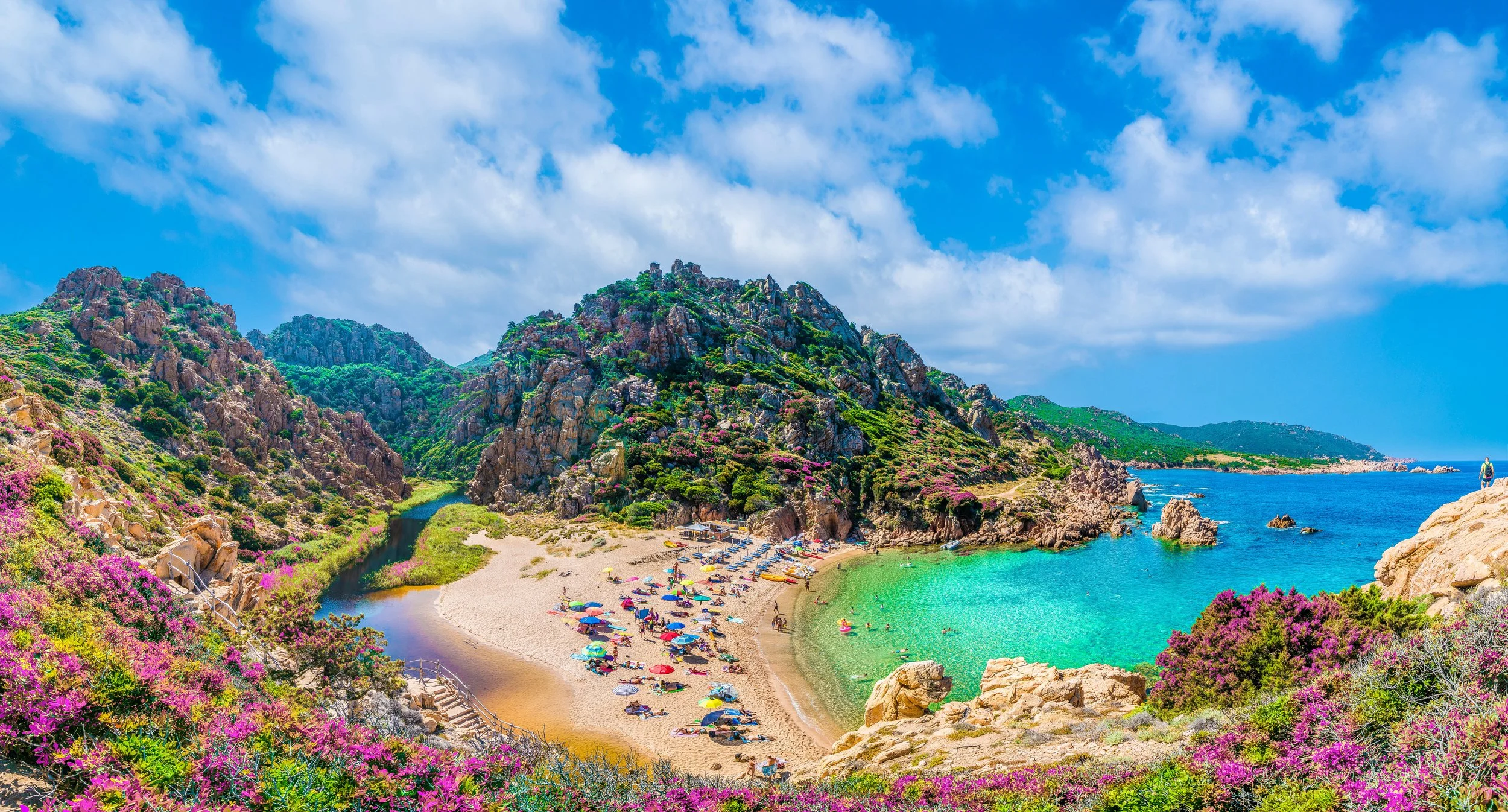 AdobeStock_213780342.jpg