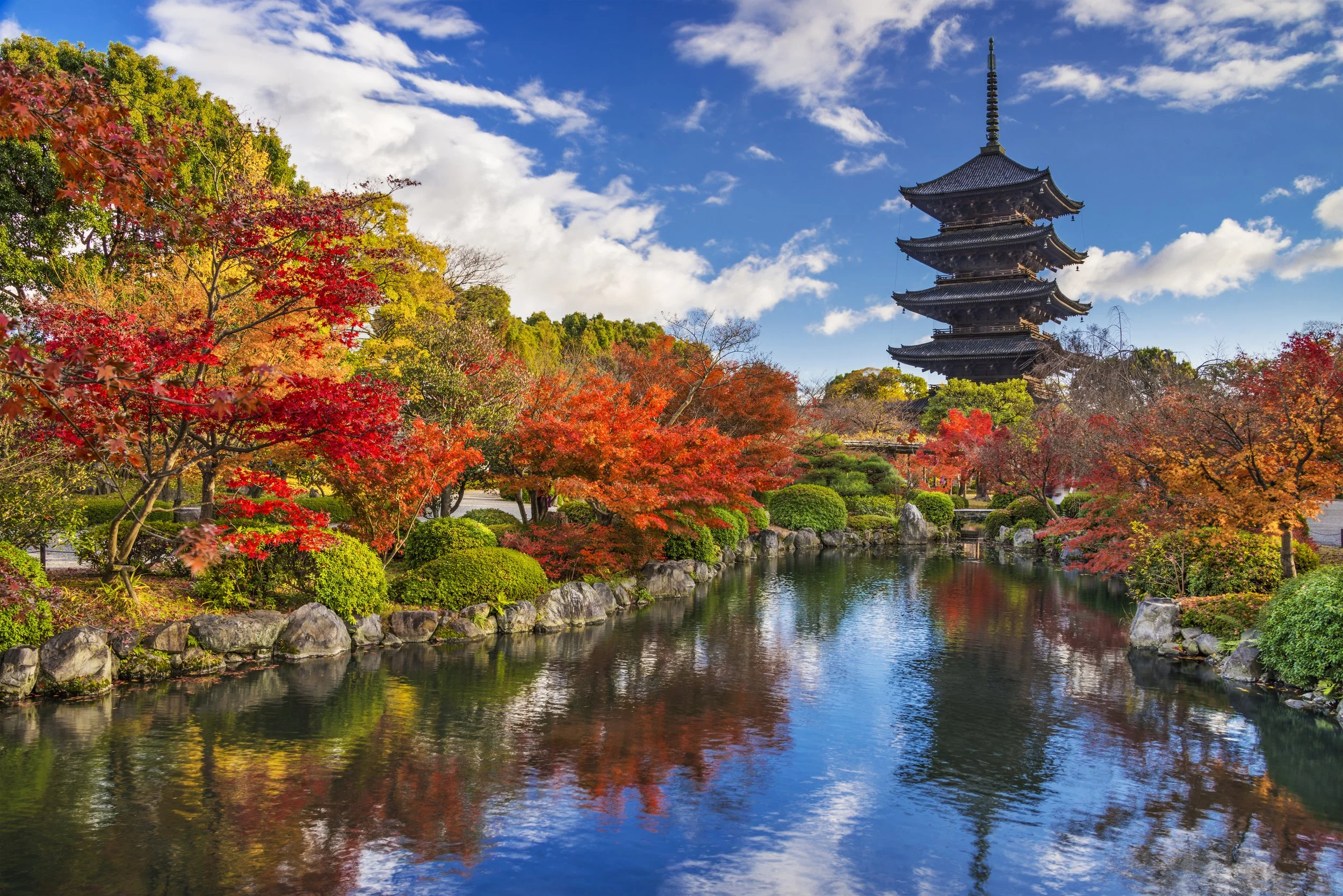 iStock-472114517.jpg
