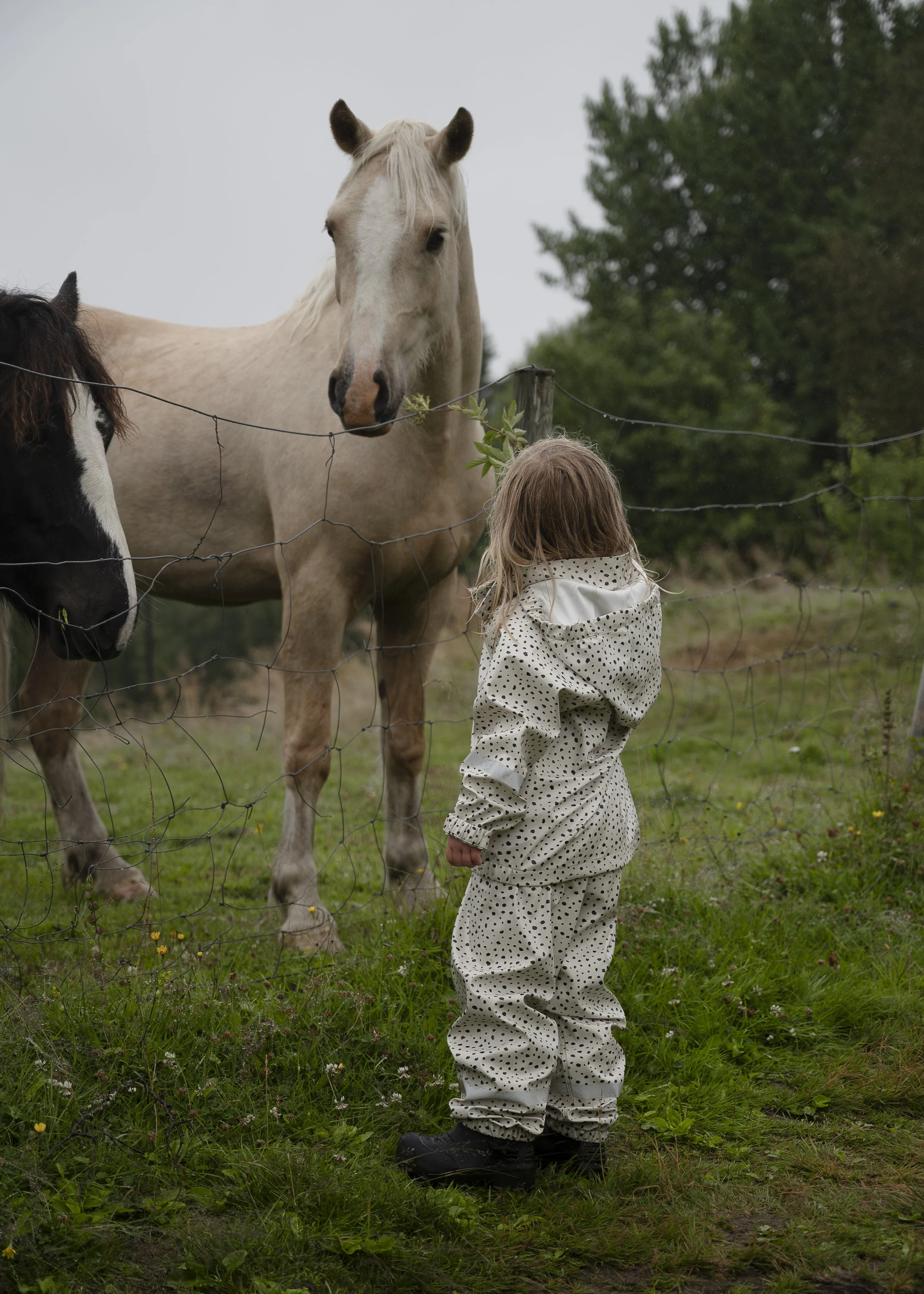 PEL_8899-Forbedret-NR kopi.jpg