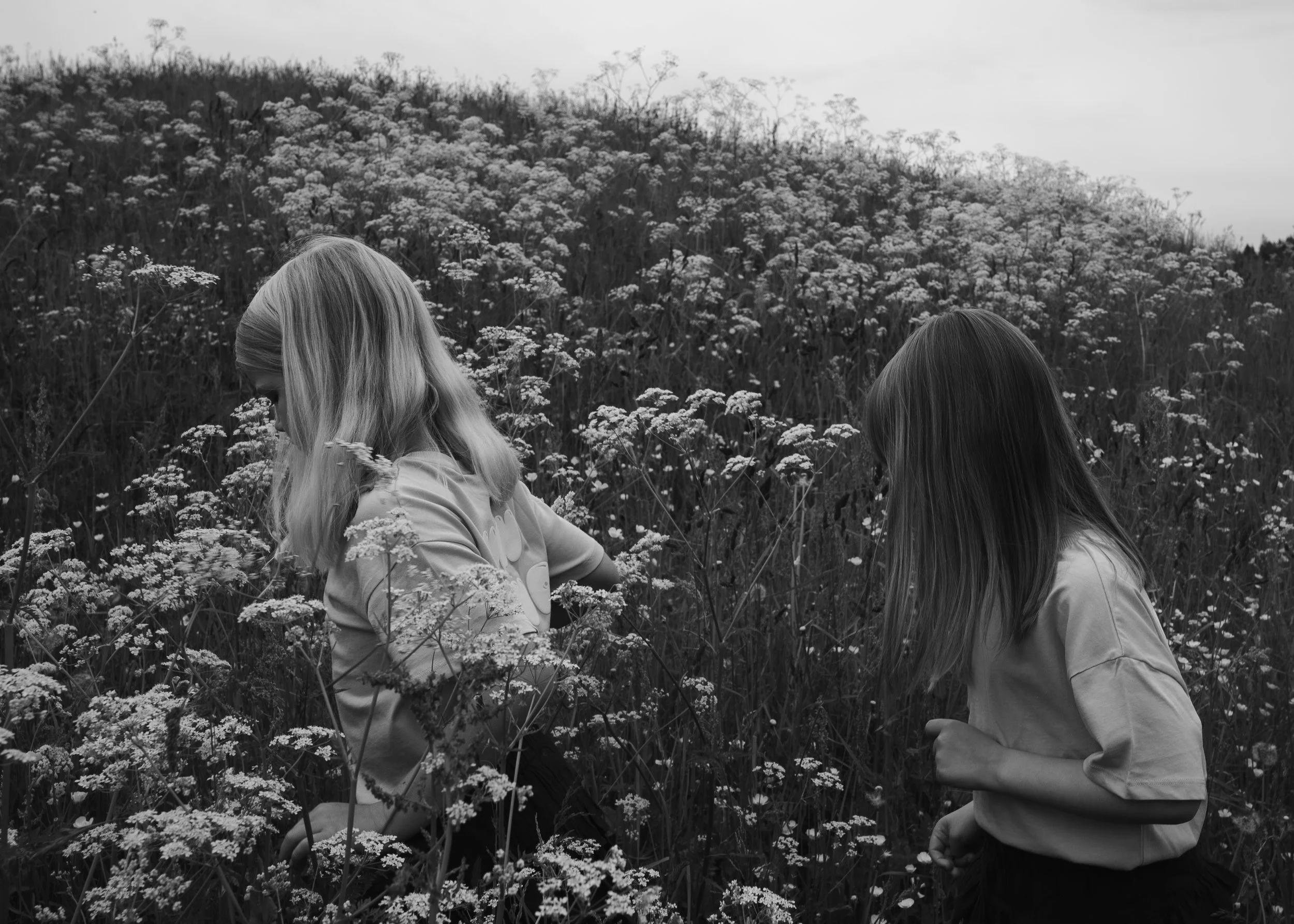 PEL_4577-Forbedret-NR kopi.jpg