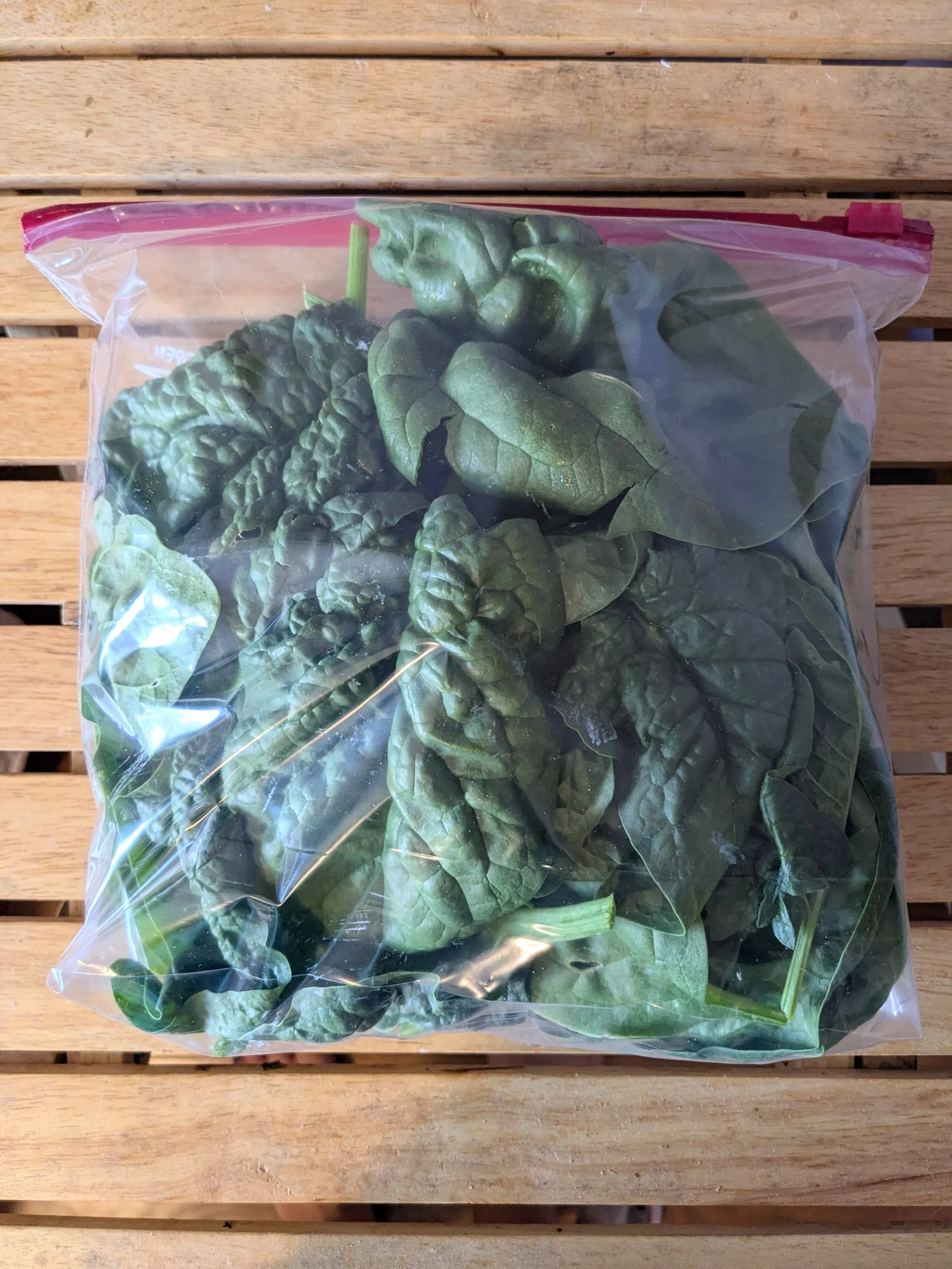 Kale Pesto