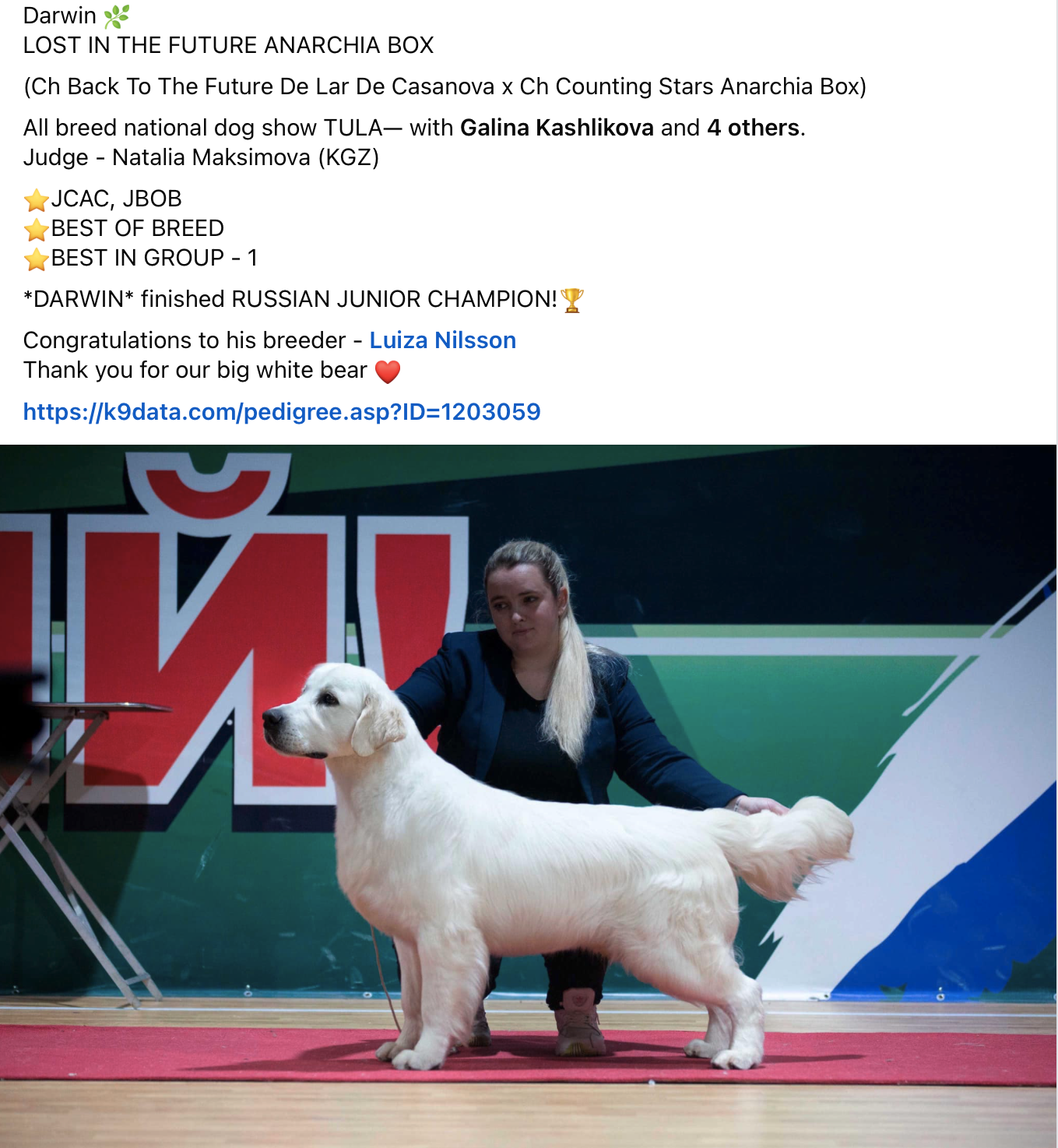 Screenshot 2024-10-15 at 1.59.44 PM.png