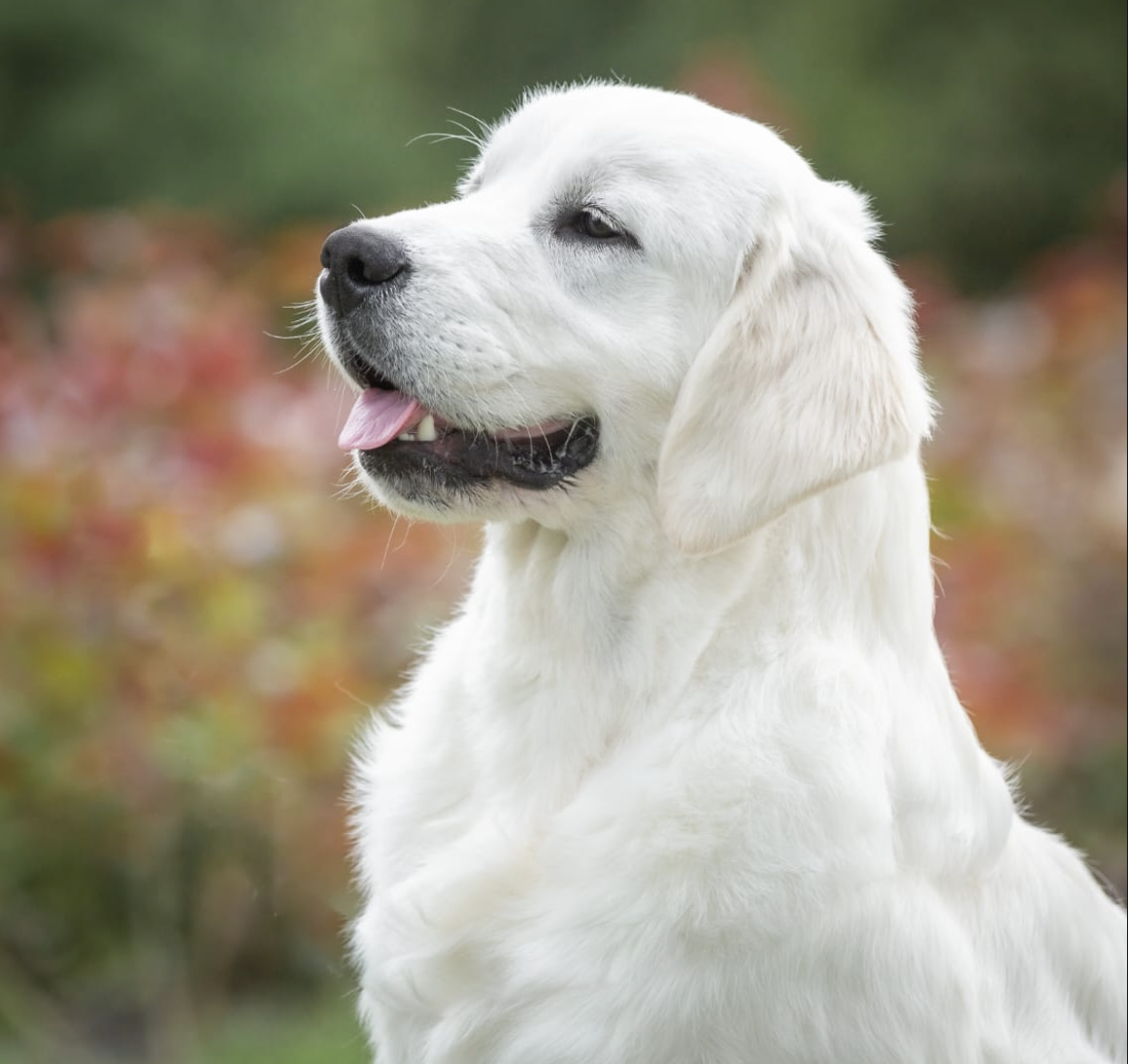 Screenshot 2025-04-21 at 6.39.41 PM.png