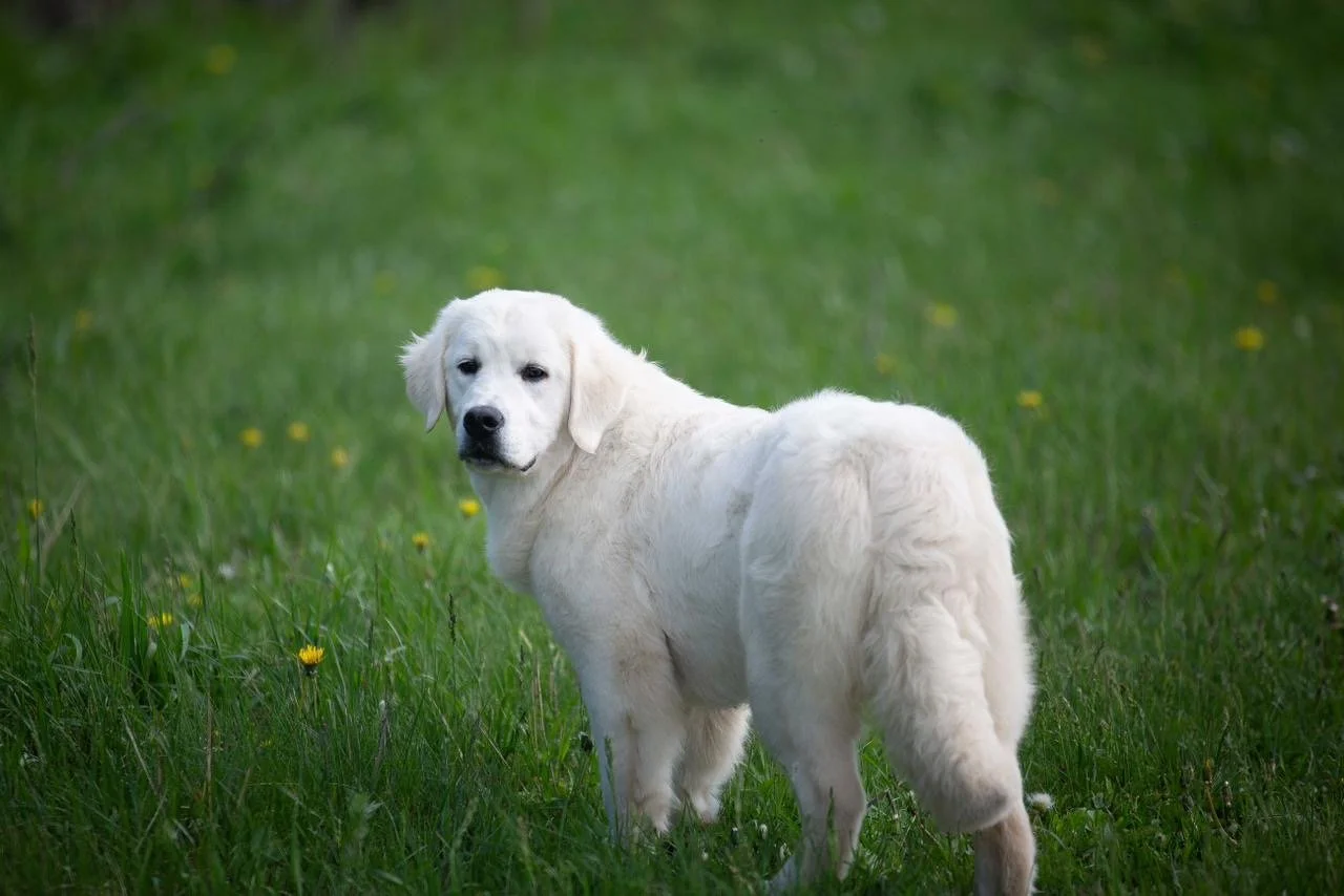 b84c42b5-f517-47cc-8333-acc175348a4d 2.JPG