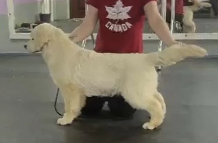 Delta Force (Sarah).jpg