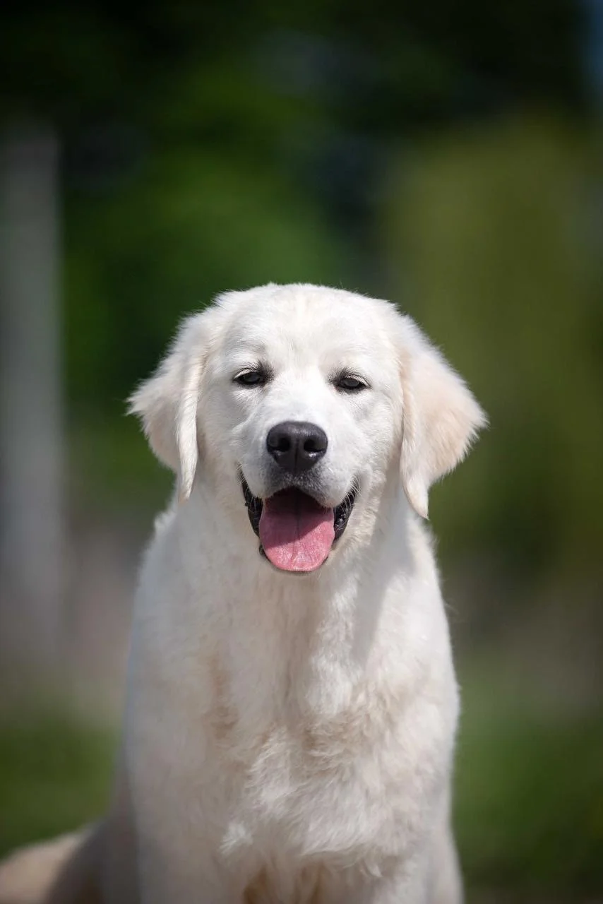 0e77f78b-28b3-4d39-abaf-73d8e54dd9ea 2.JPG