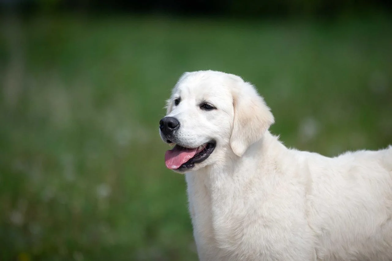 0ea235c2-4976-4c89-806e-42b7e09f70ad 2.JPG