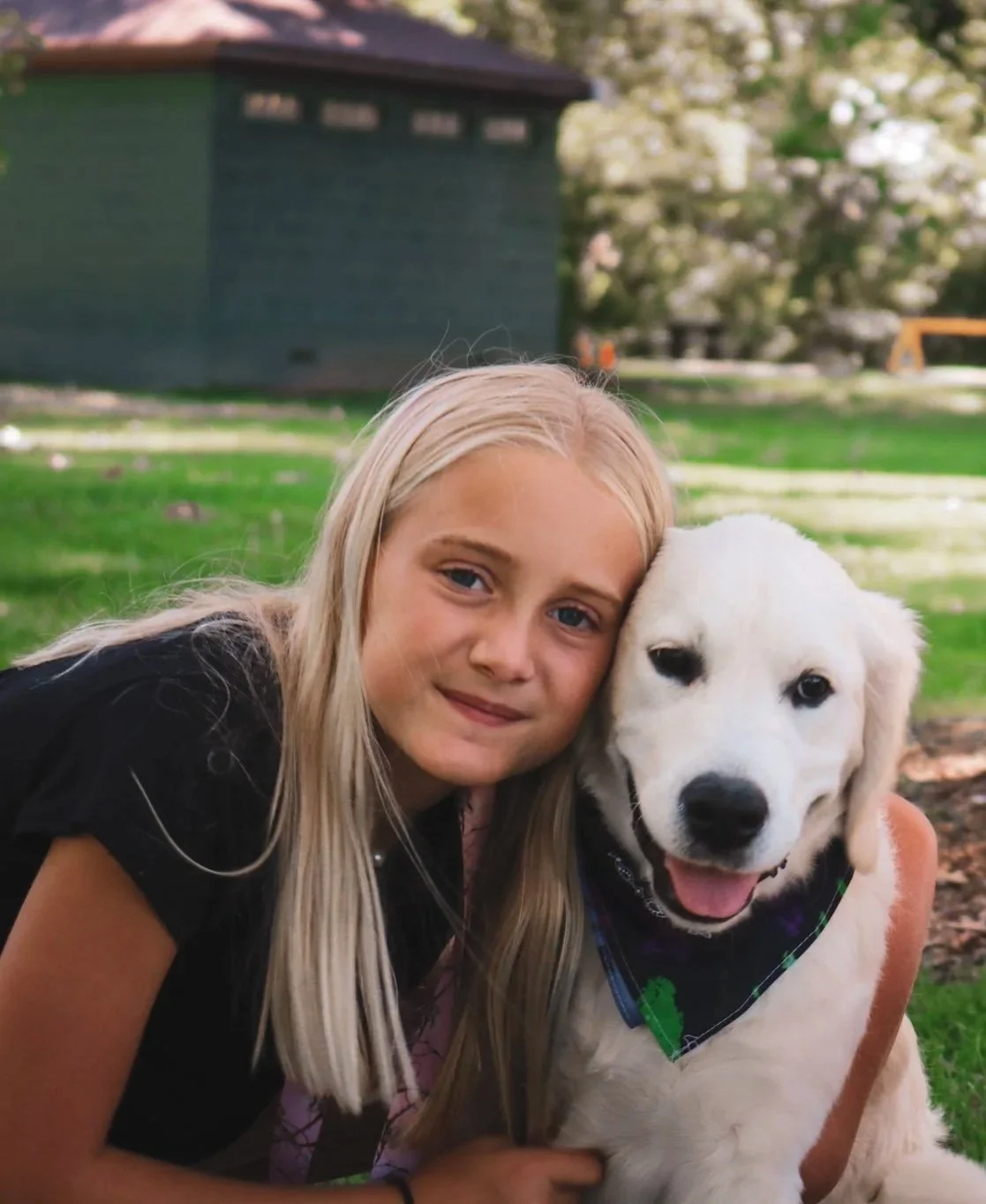 Is a Golden Retriever Right for Your Family? What to Know Before You Adopt