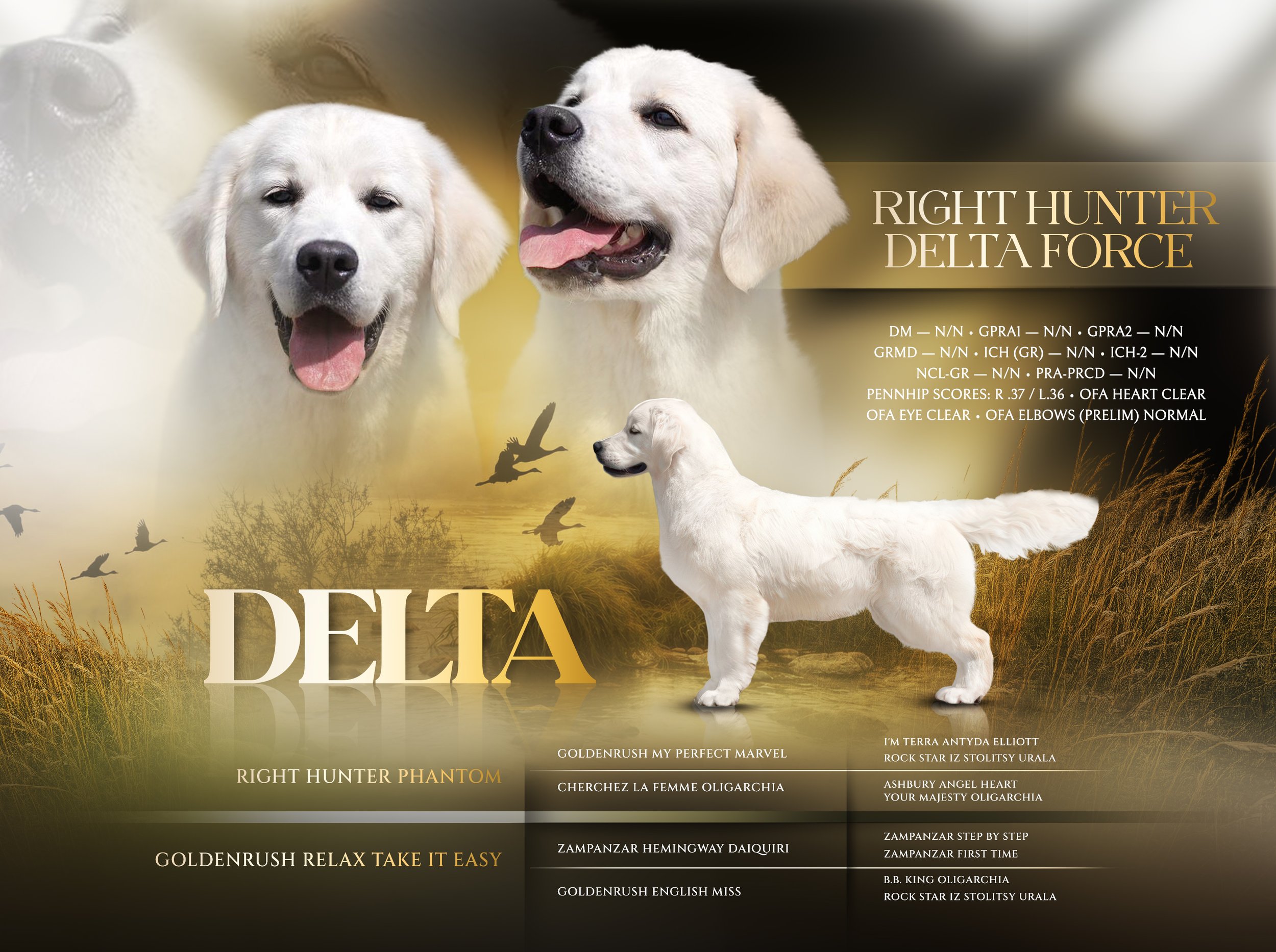 Right Hunter Delta Force (Sarah)