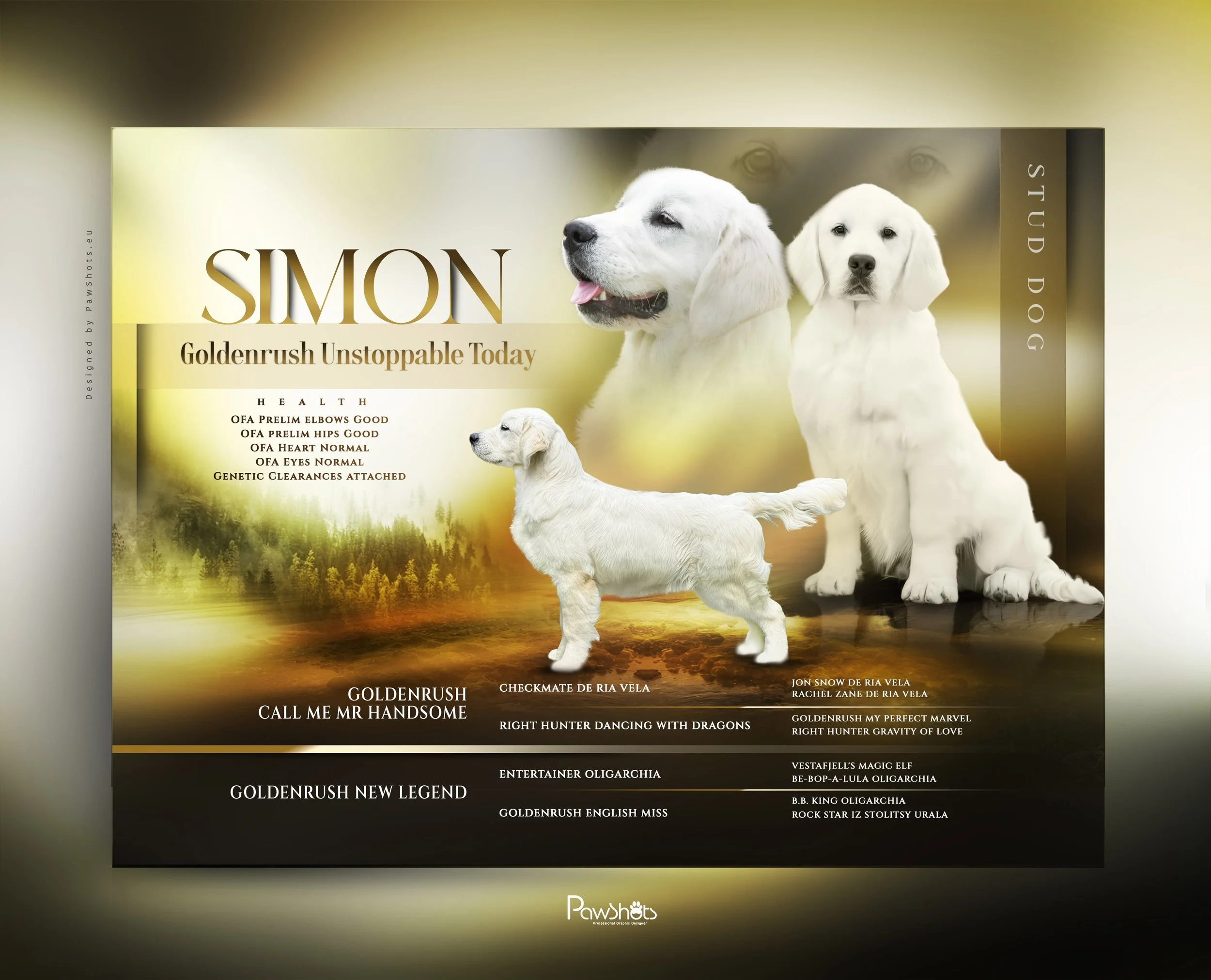 Simon