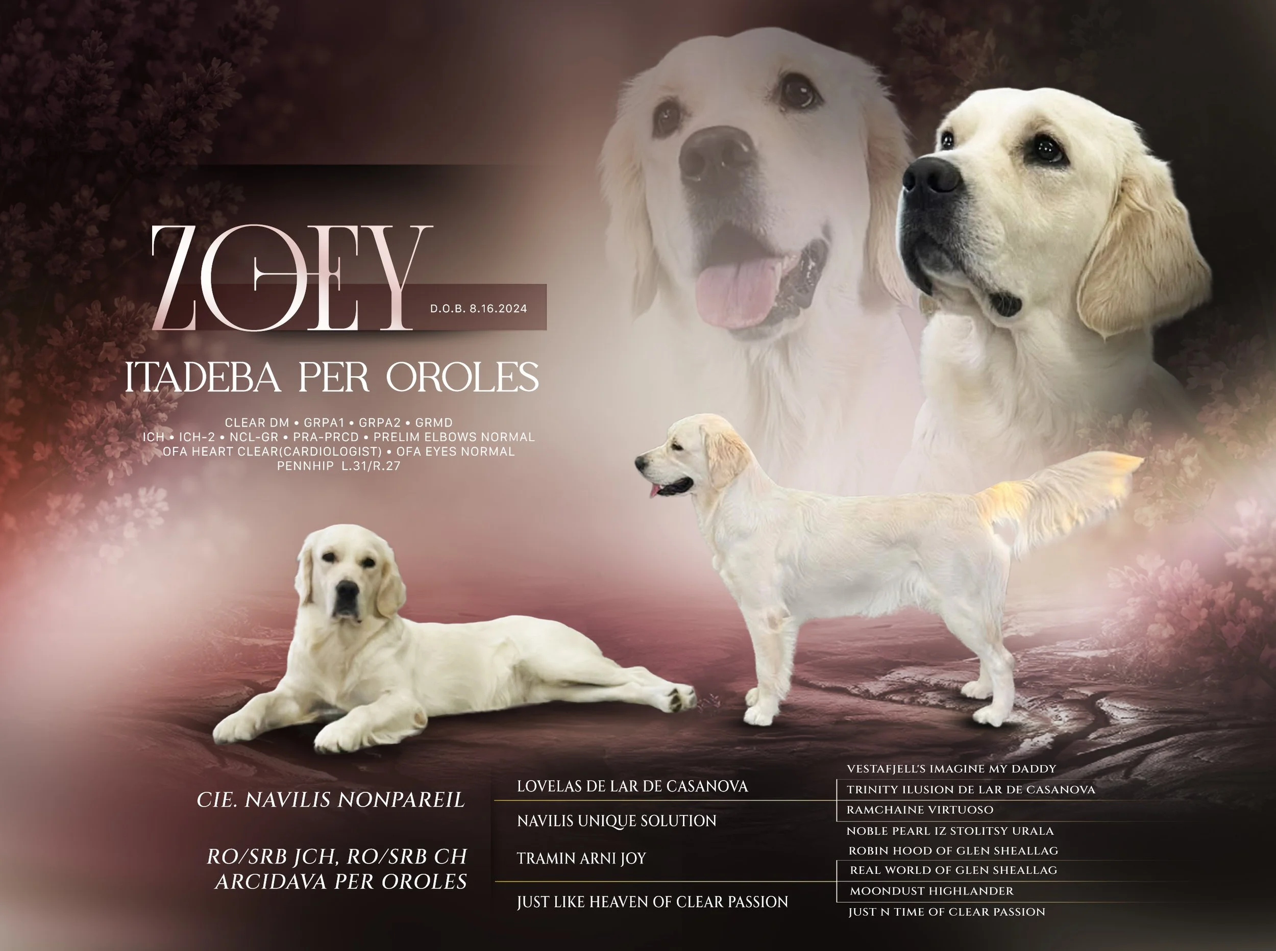Itadeba Per Oroles (Zoey)