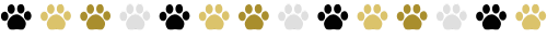 Close-up of different paw prints on a white background: yellow, black, white, and gray.