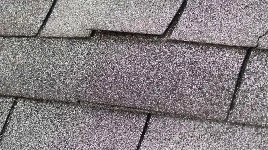 Roof Leak Guide for Myrtle Beach, SC Homeowners
