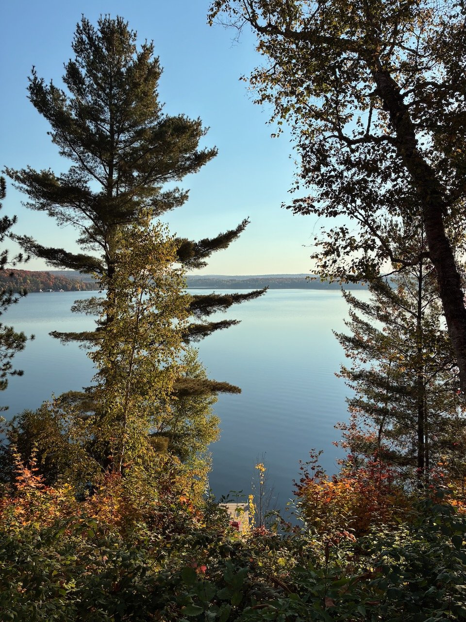 A scenic view of a calm lake surrounded by trees with autumn foliage, under a clear blue sky.