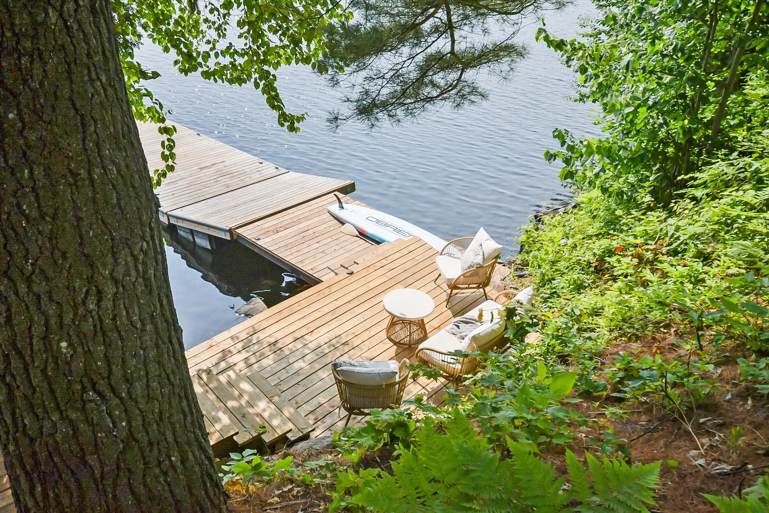 VTV2k25JK (44 of 74).jpg