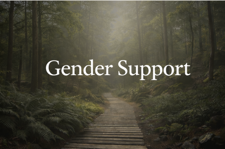 Gender Dysphoria Assessment to obtain Gender Affirming Care