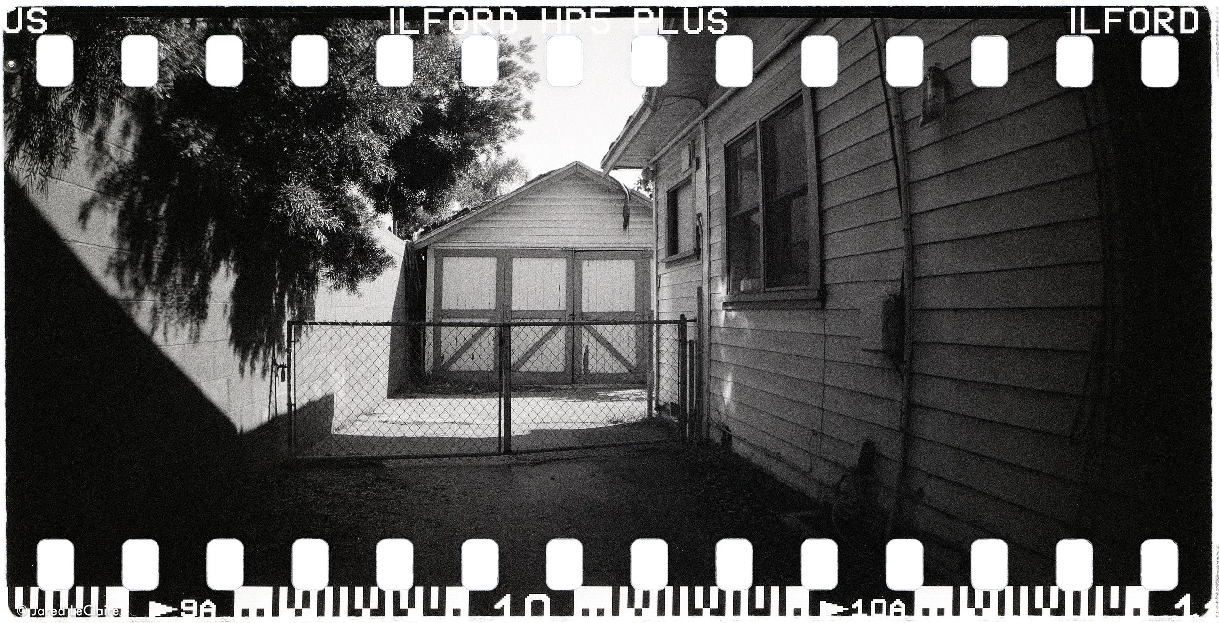 20250228_001 film scans_0006.jpg