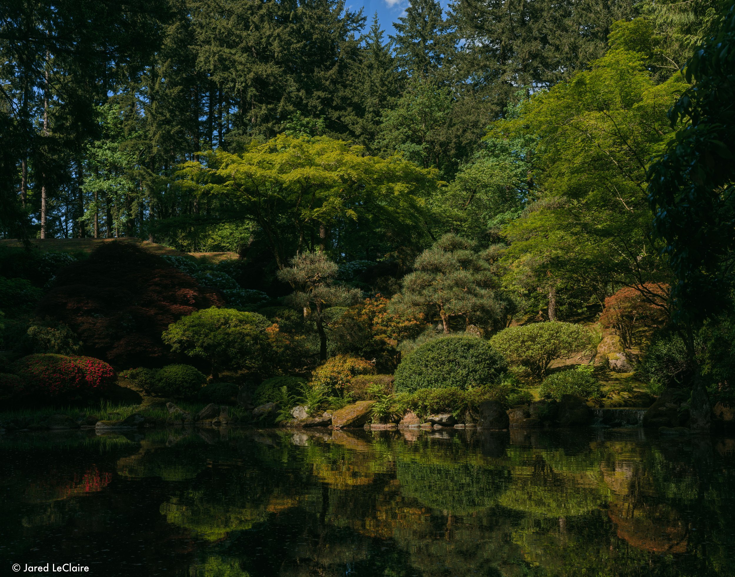 20240515_001 portland_0034.jpg