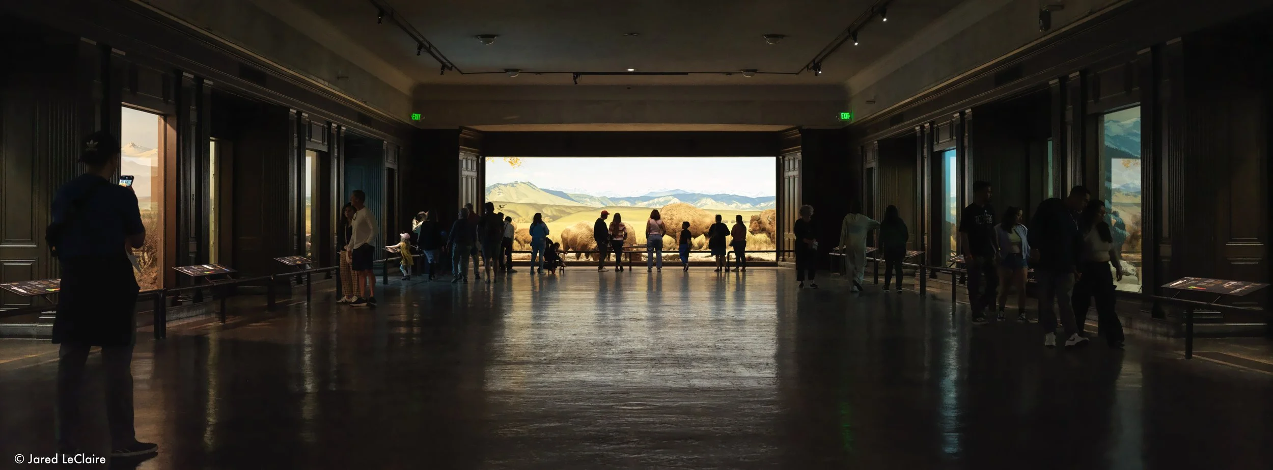 20250405_003 la natural history museum_0028.jpg