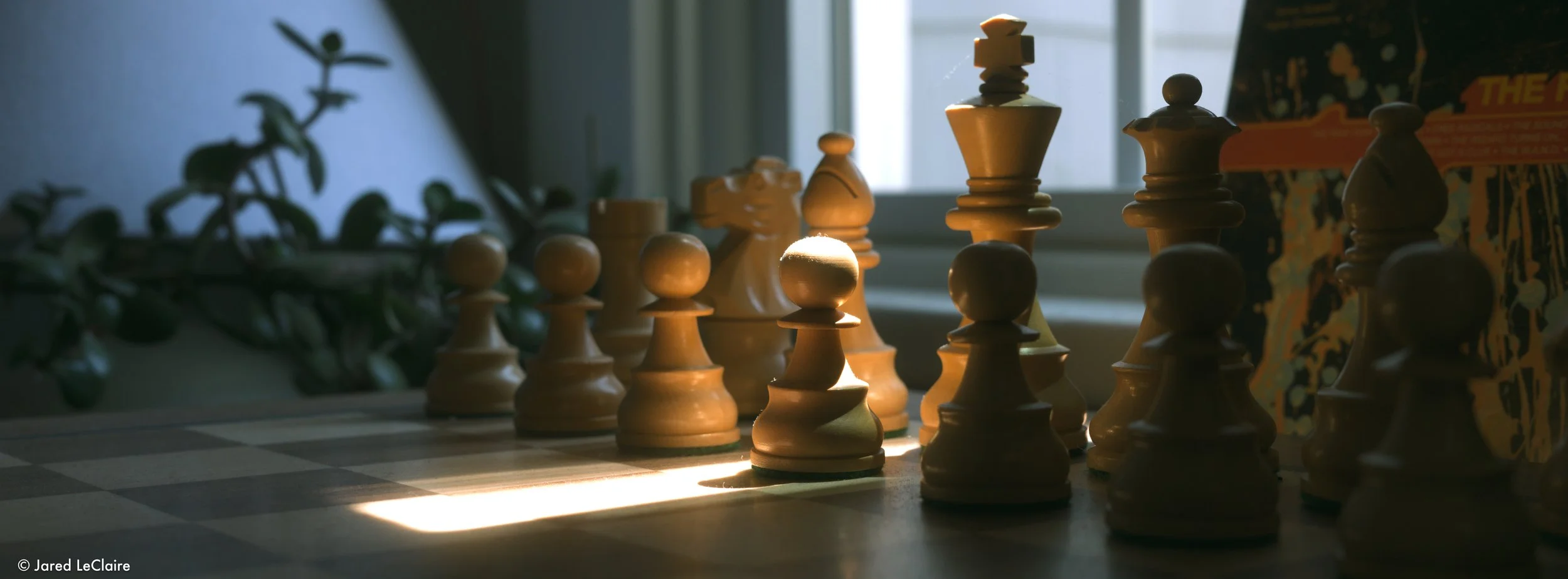 20240515_001 portland_0012.jpg