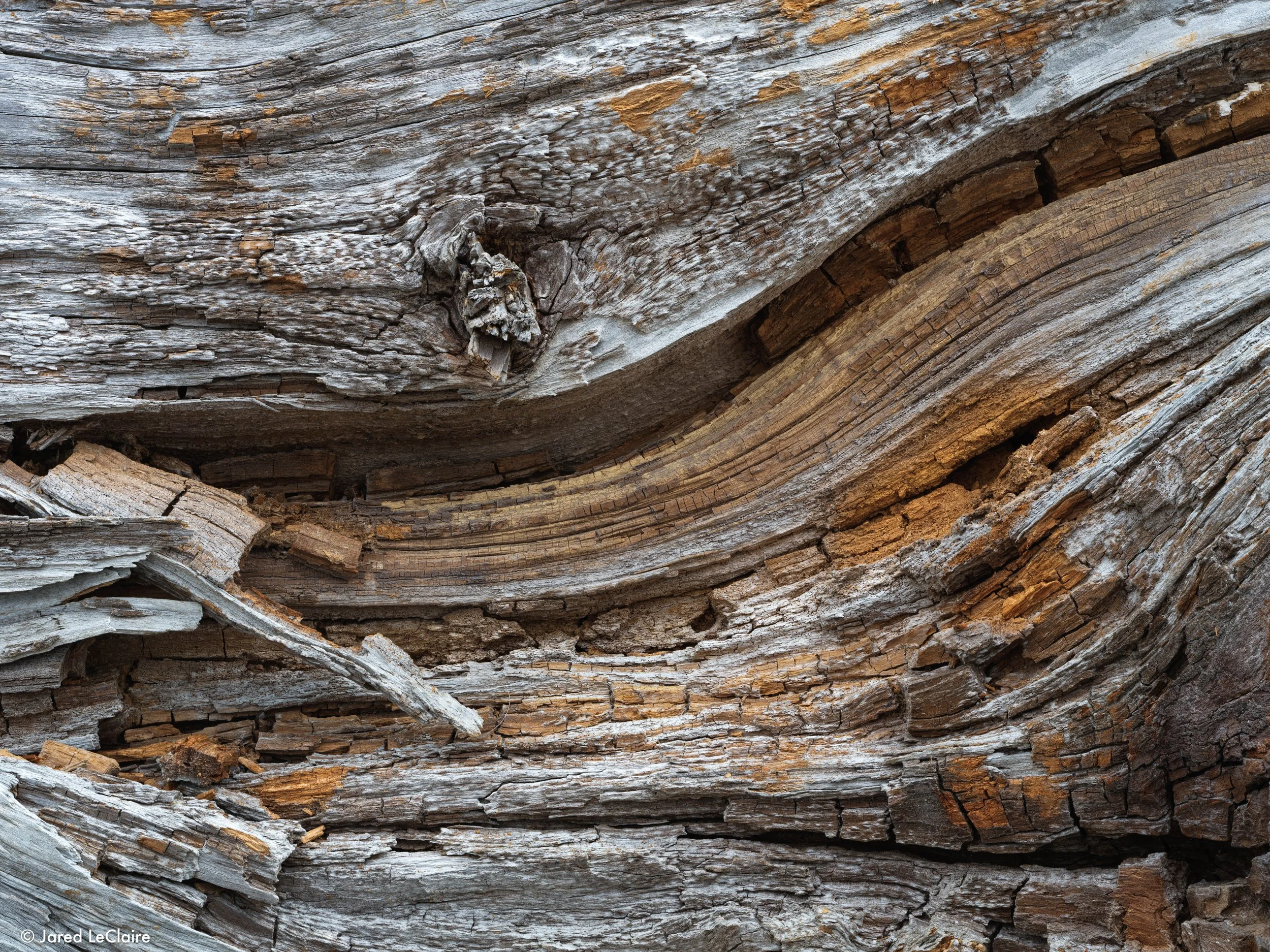 2024-08-11 19-03-36 (A,R8,S2).jpg