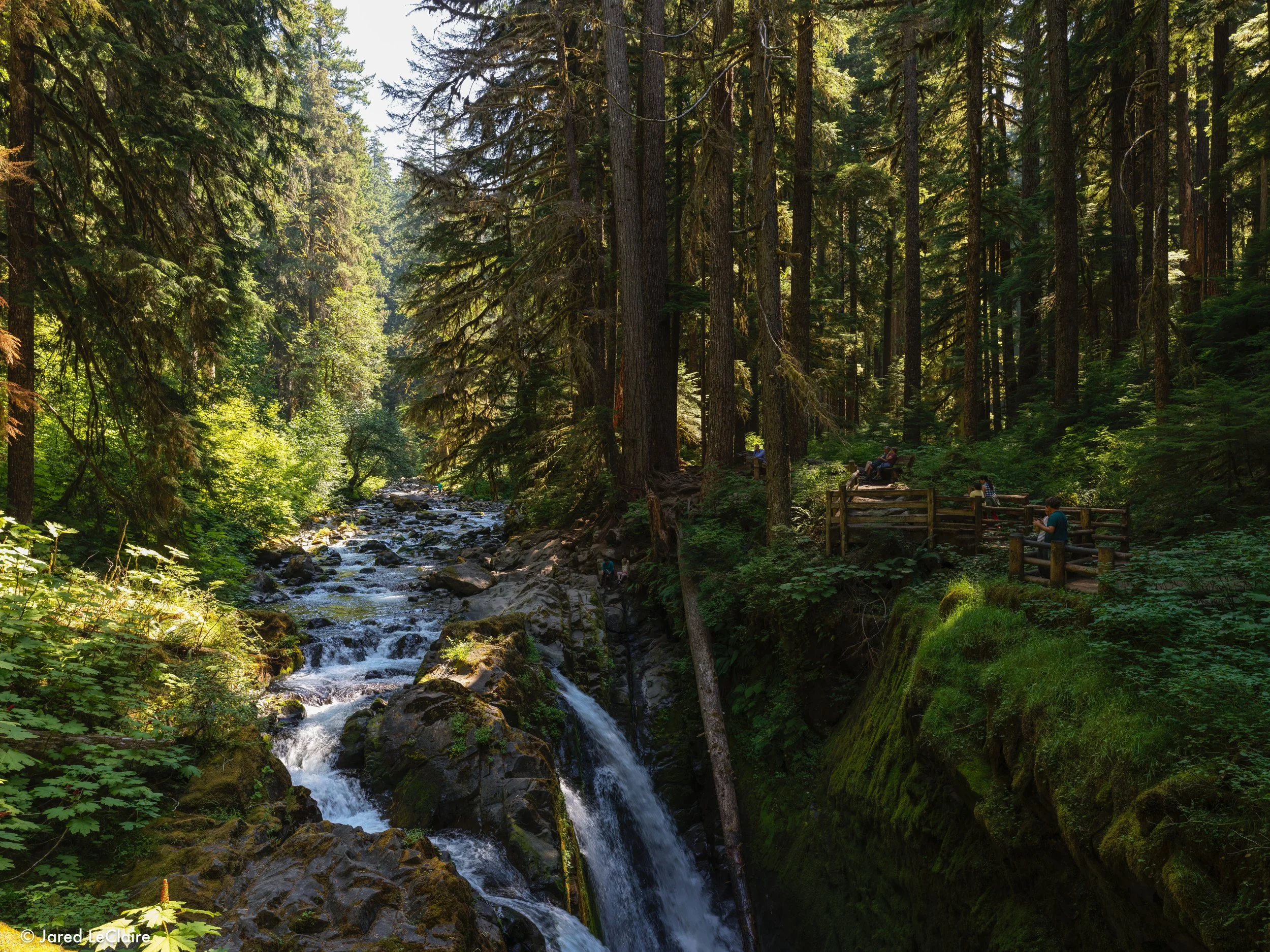 20240811_001 olympic_0515.jpg