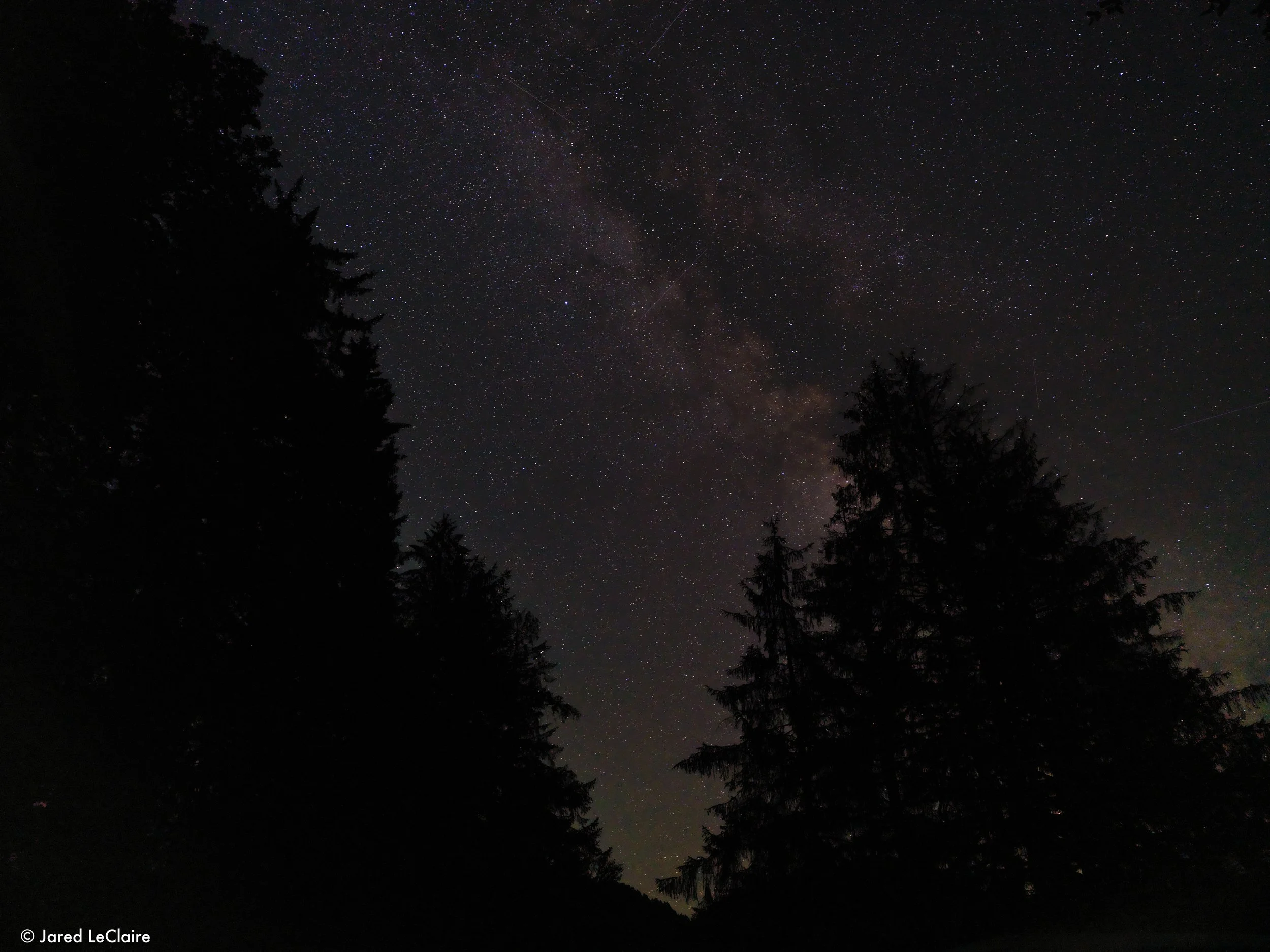 20240811_001 olympic_0832.jpg