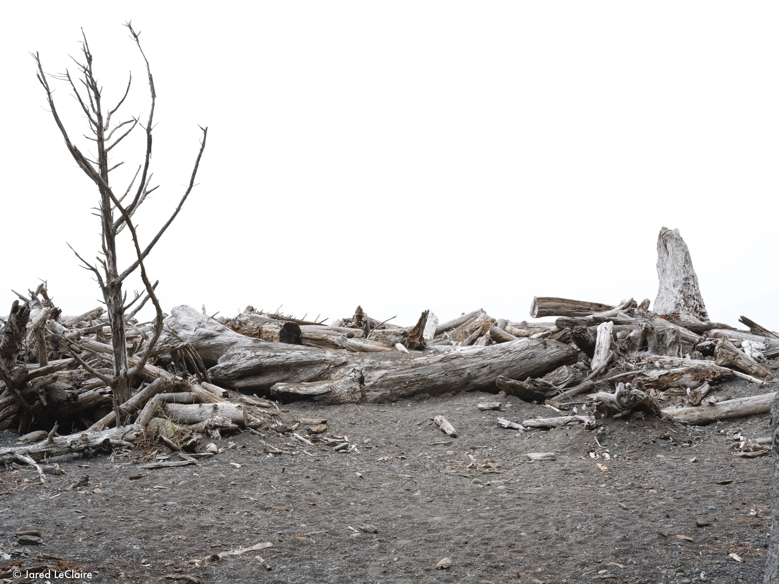 20240811_001 olympic_0701.jpg