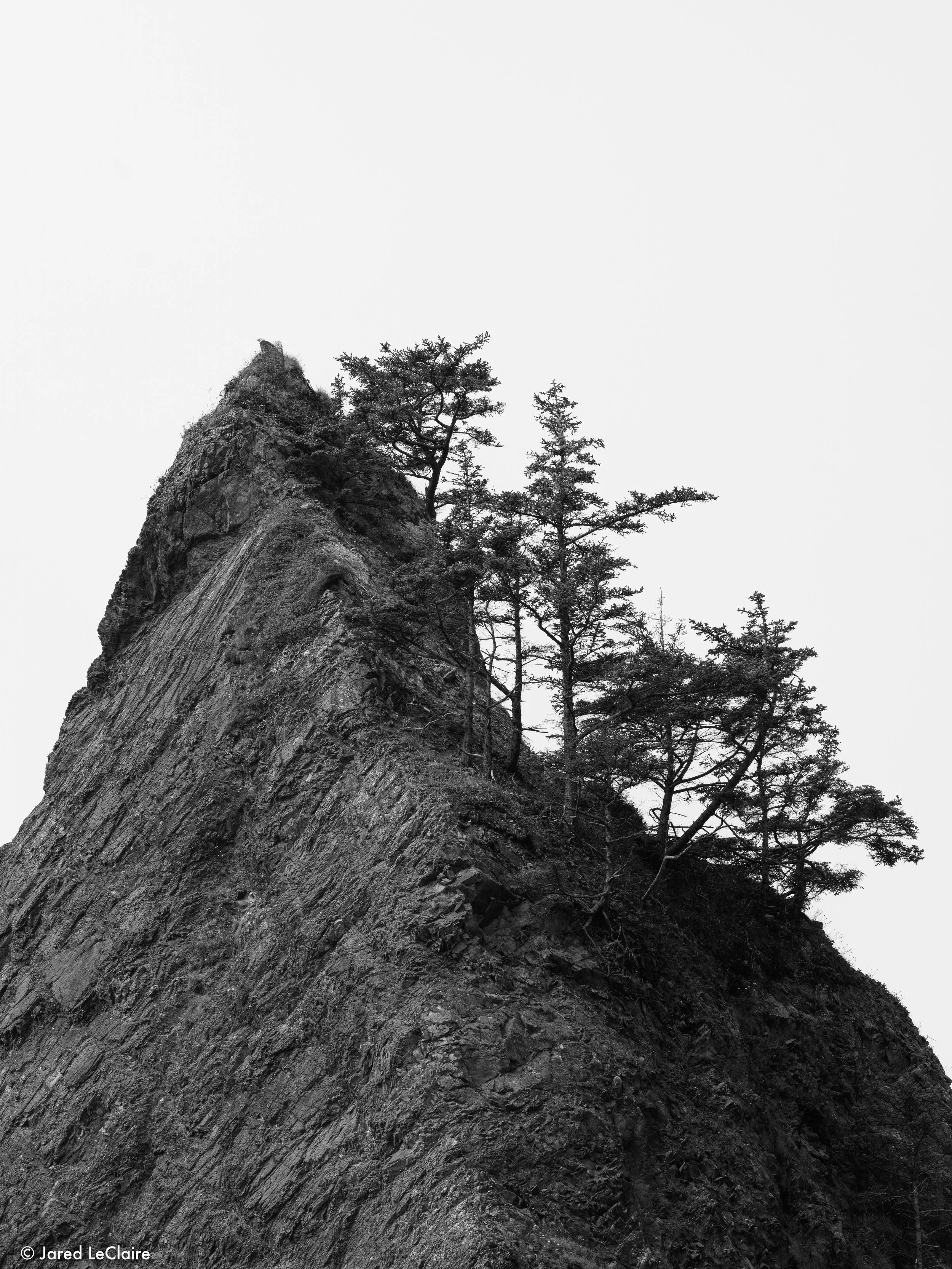 20240811_001 olympic_0632.jpg